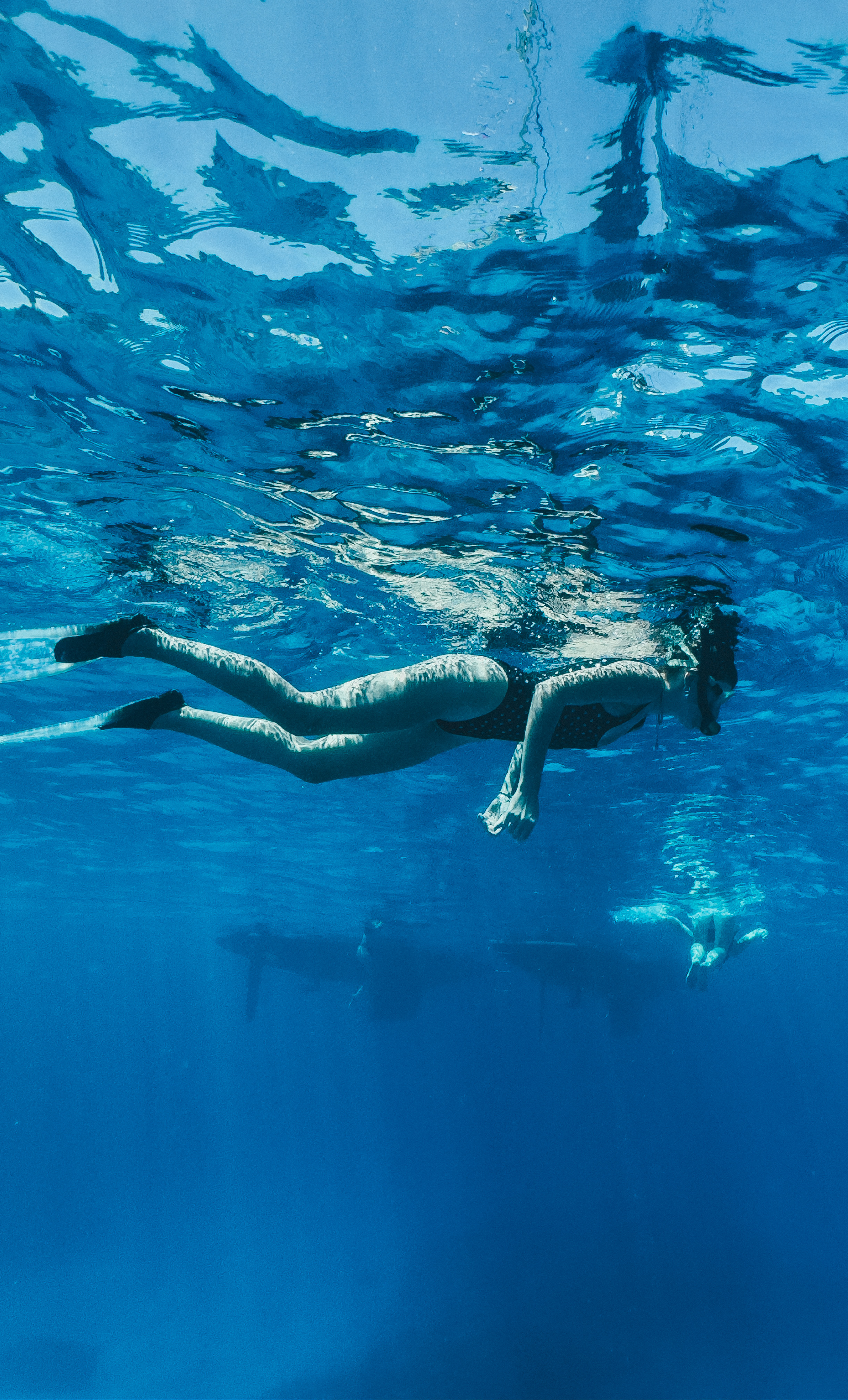 Райский остров: Маврикий (16/27)