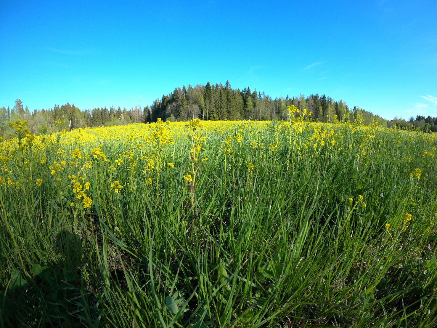 Южная Карелия. Маршрутами весны (2/7)