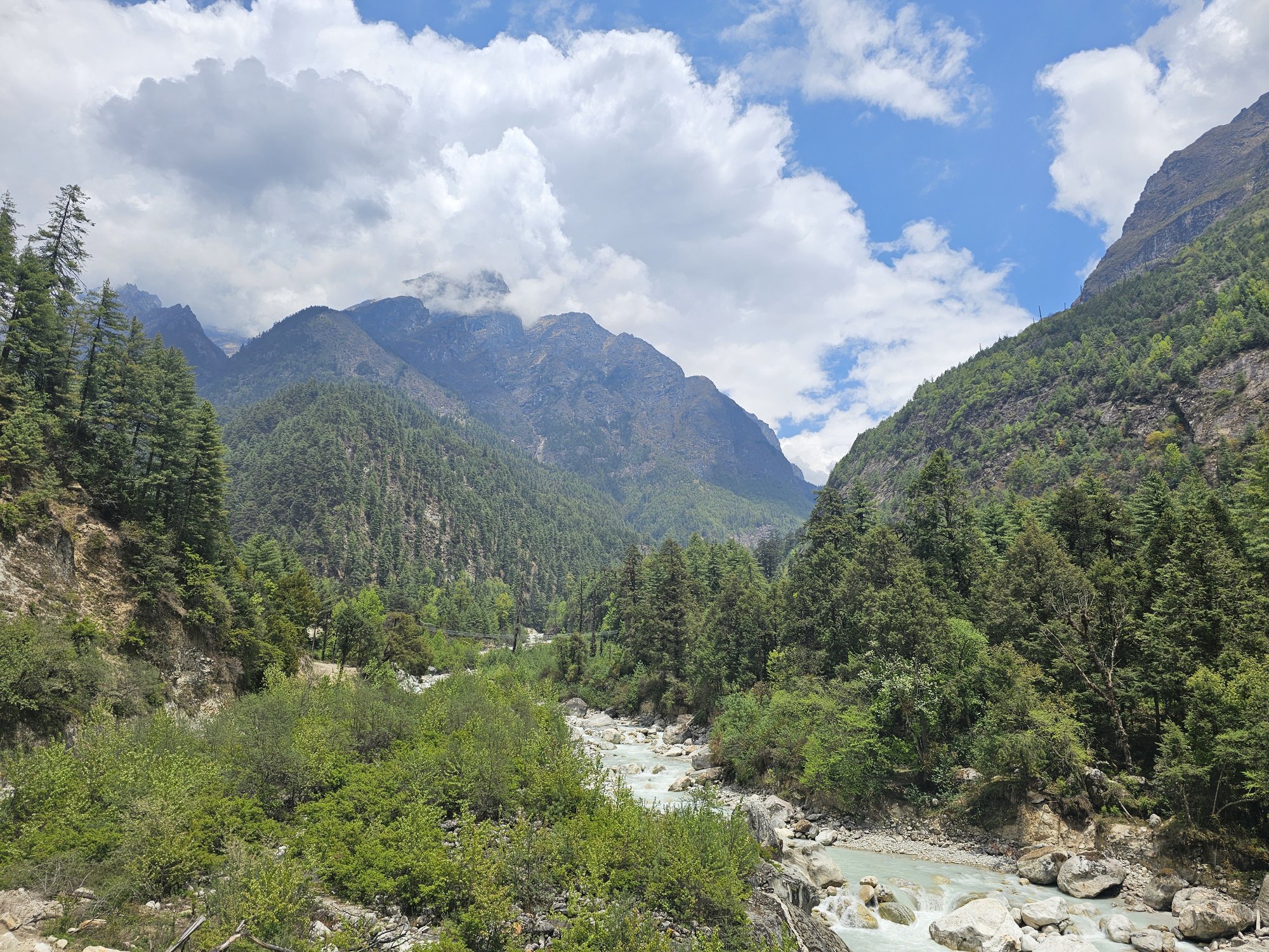Почувствуй крышу мира: йога-путешествие в сердце Гималаев (7/19)