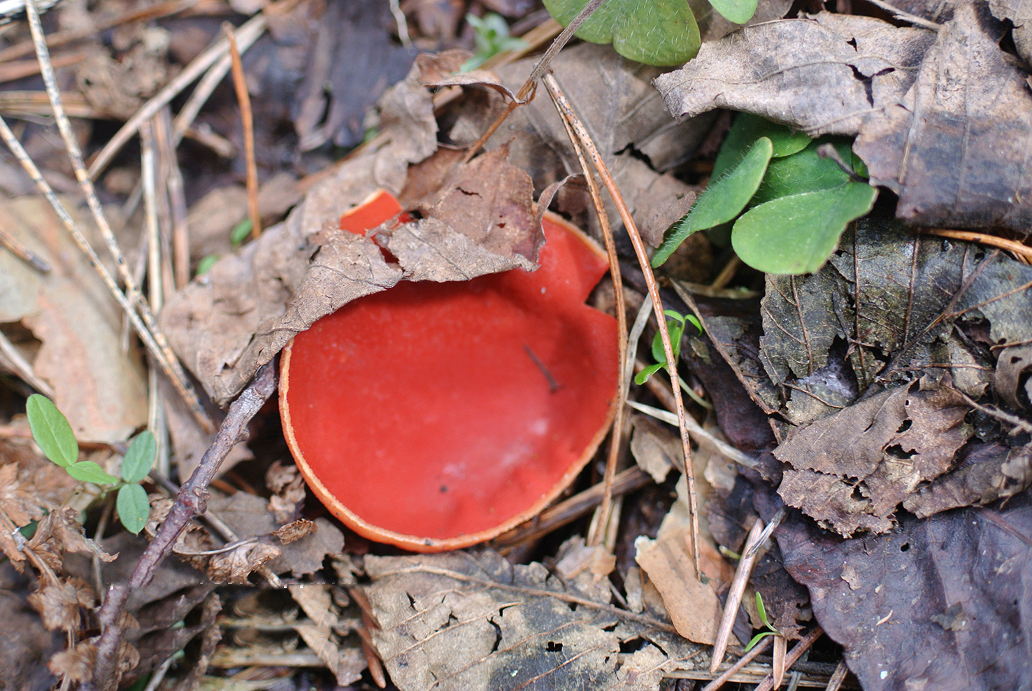 Южная Карелия. Маршрутами весны (7/7)