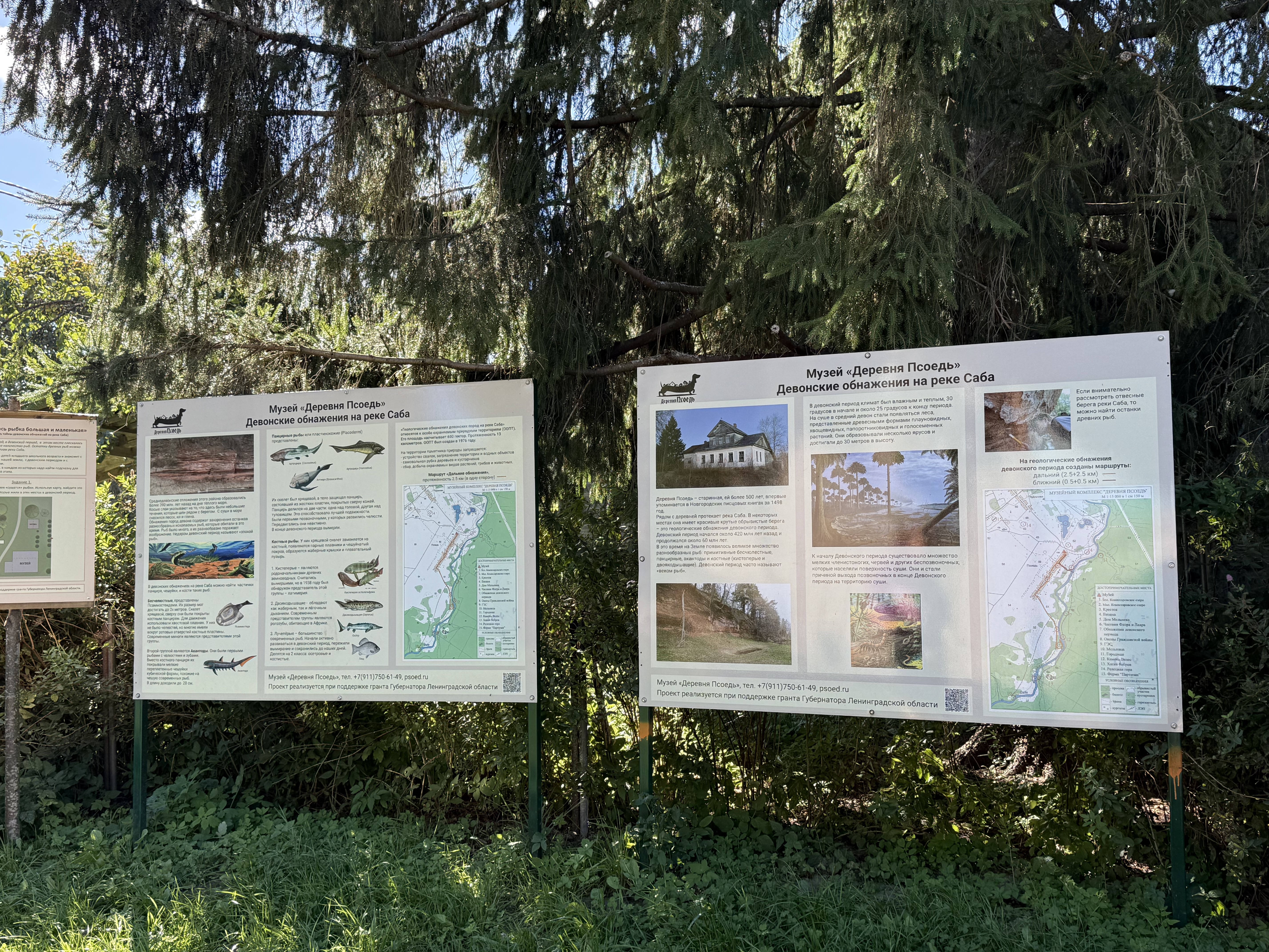 Поедь в Псоедь. Путешествие в деревню, где история оживает (2/9)