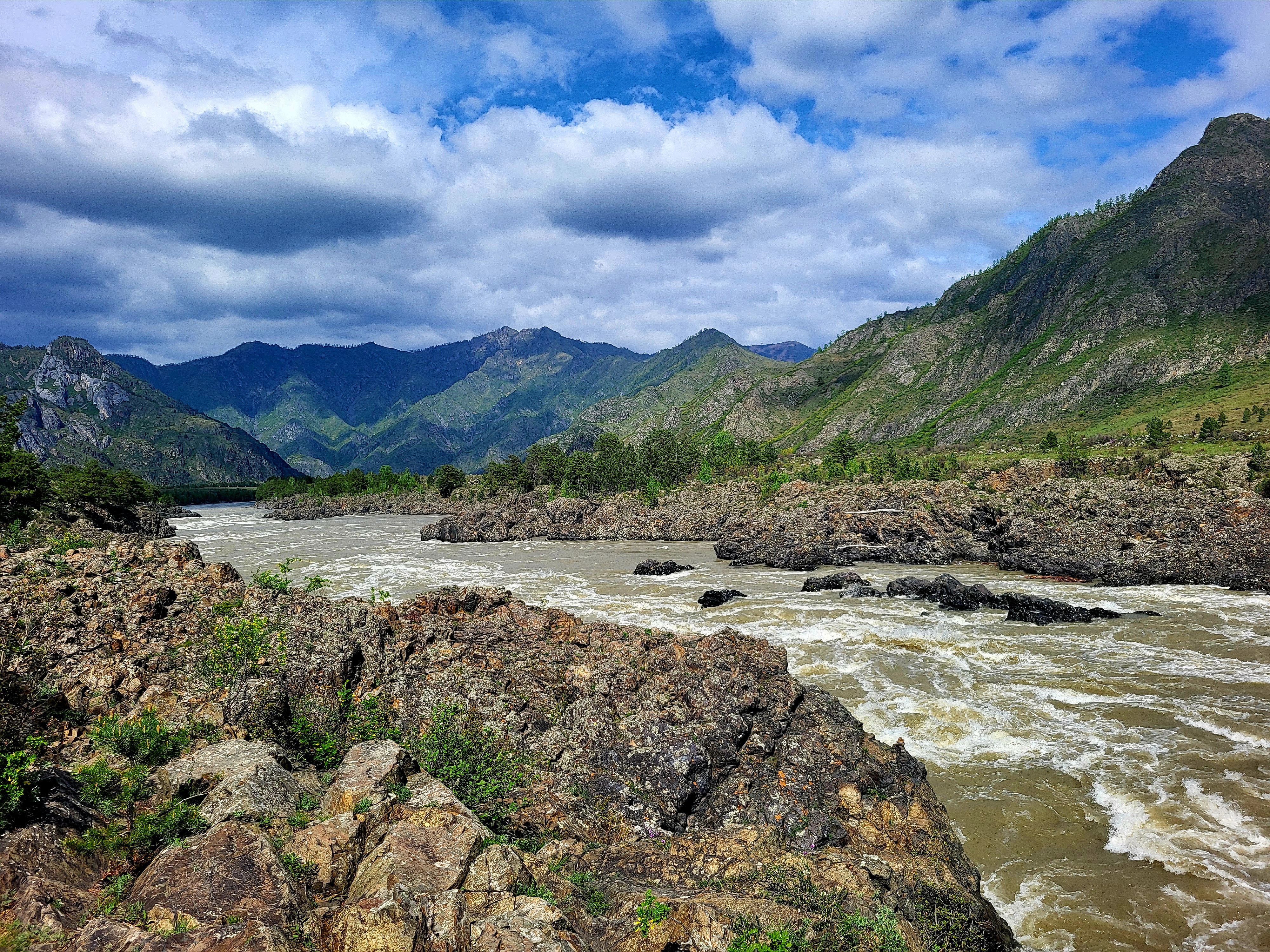 Алтайские краски: цветение маральника - 3 дня среди гор и рек (4/29)
