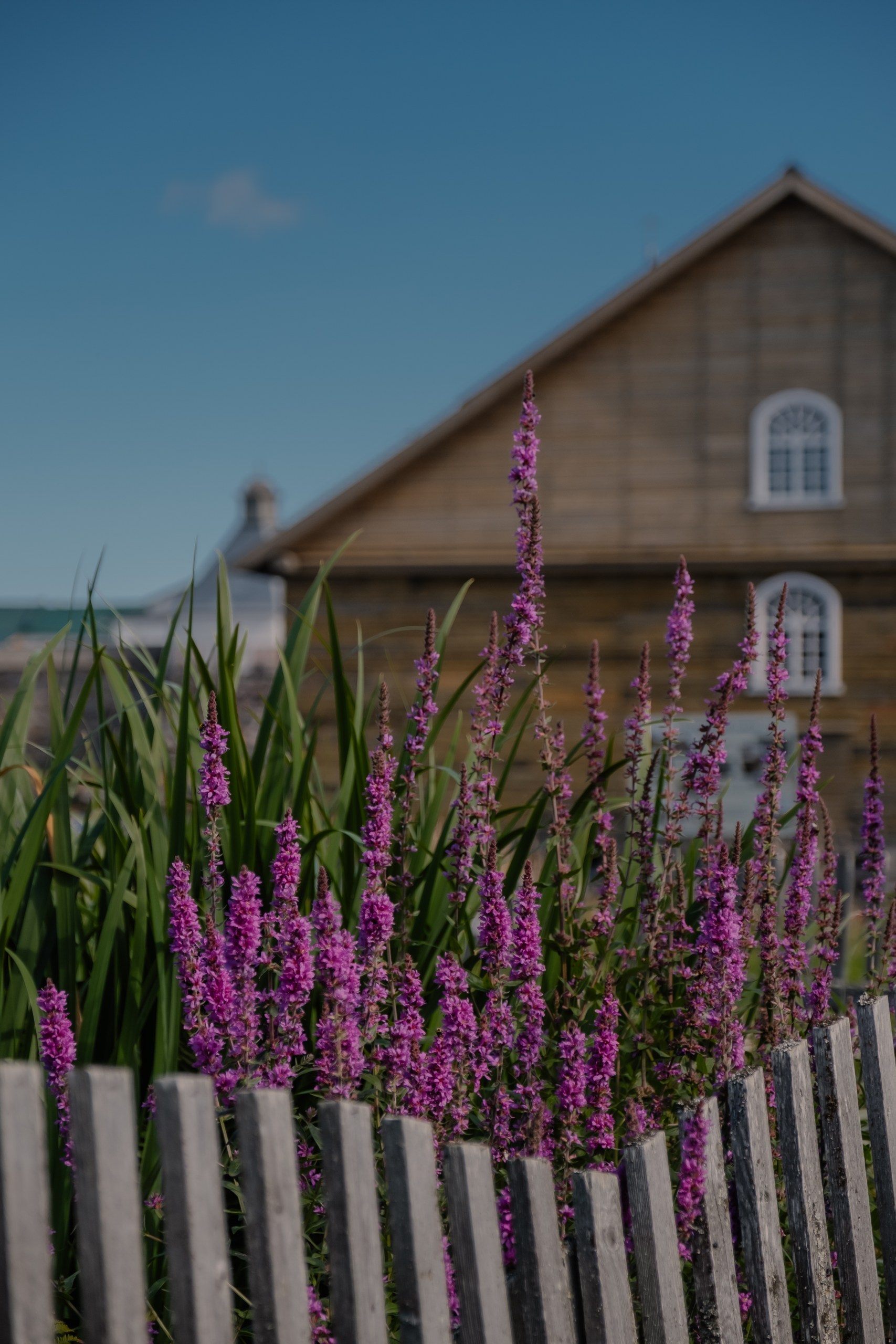 Соловецкая мозаика (8/29)