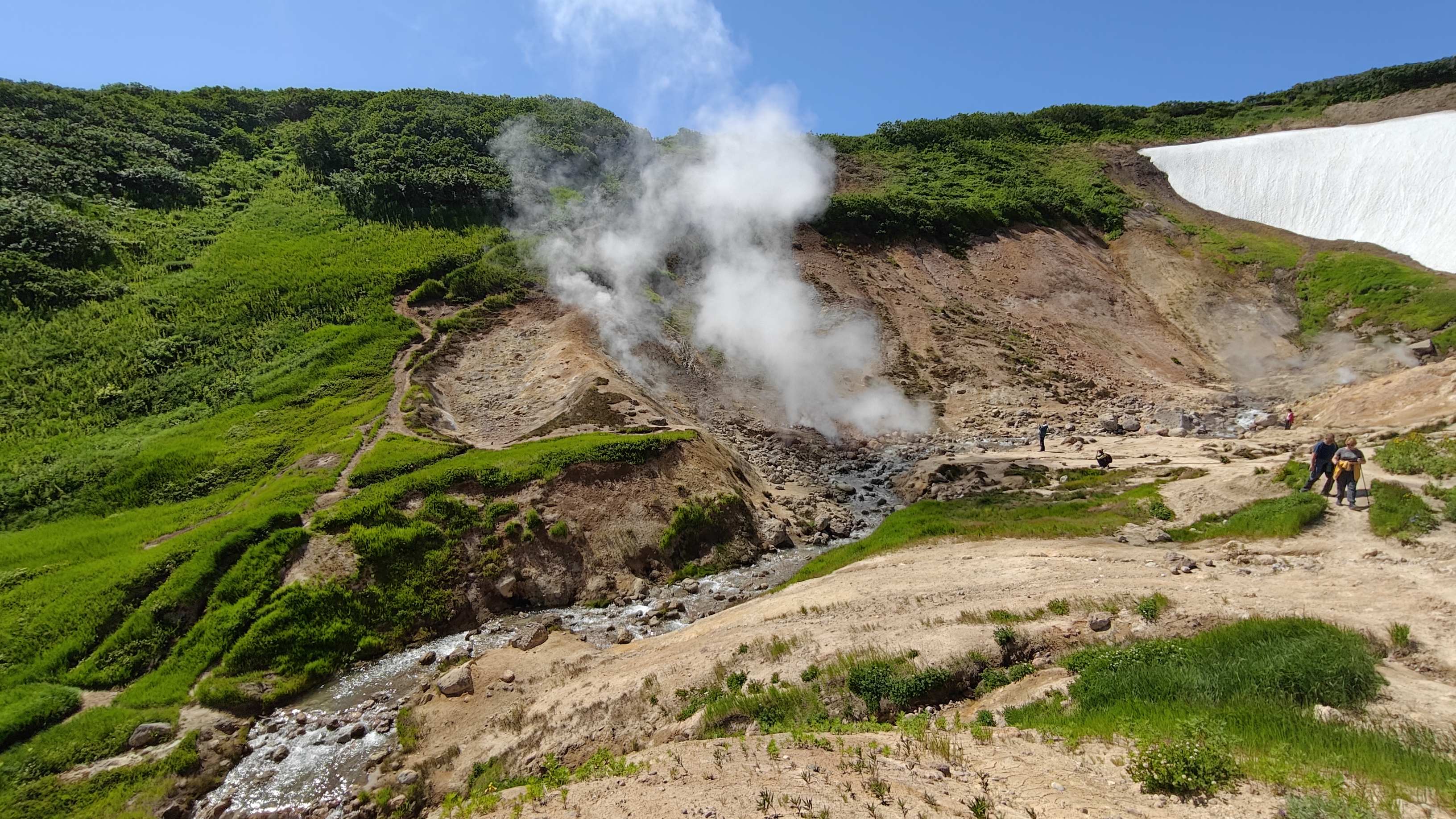 Малая Долина гейзеров (Дачные источники)  остров зелени у подножия активного вулкана (14/20)