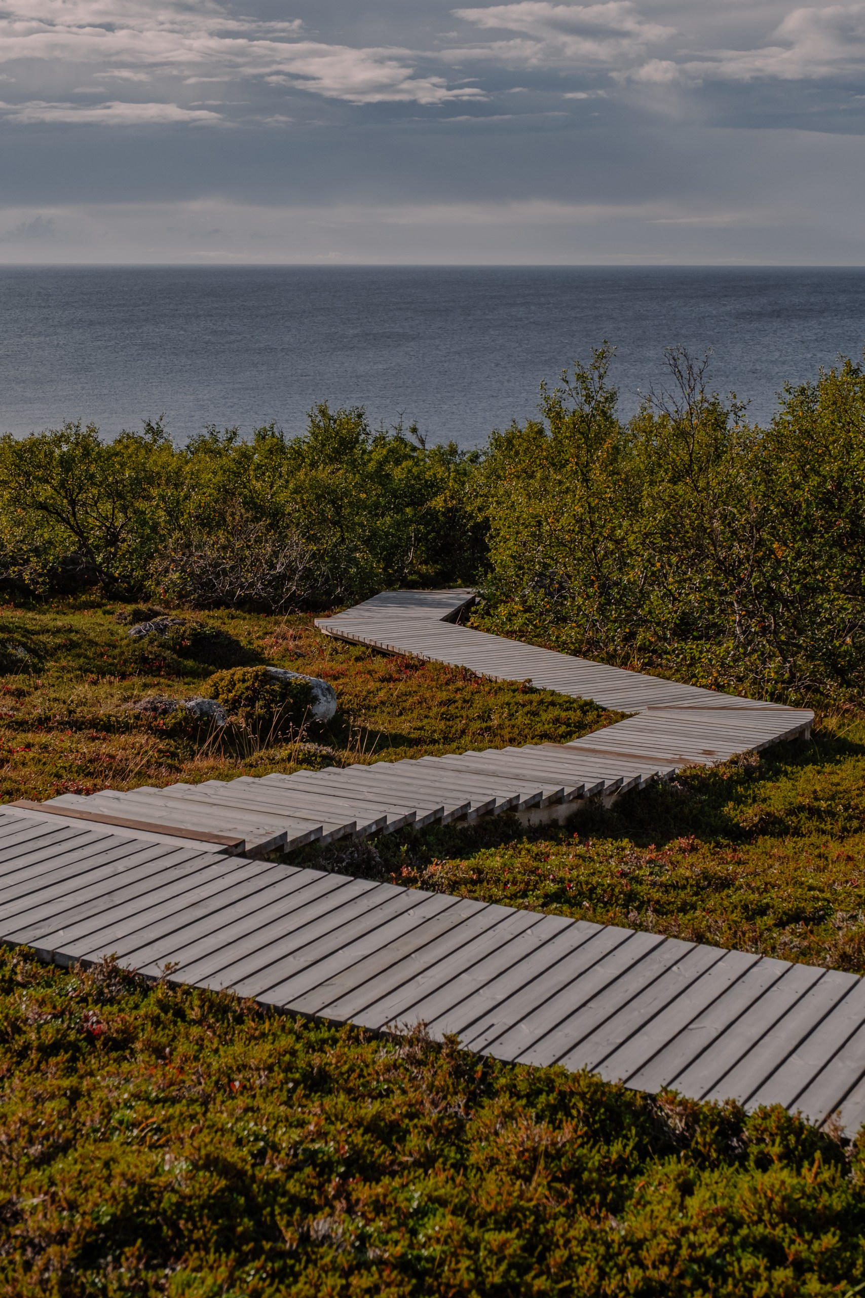 Соловецкая мозаика (12/29)