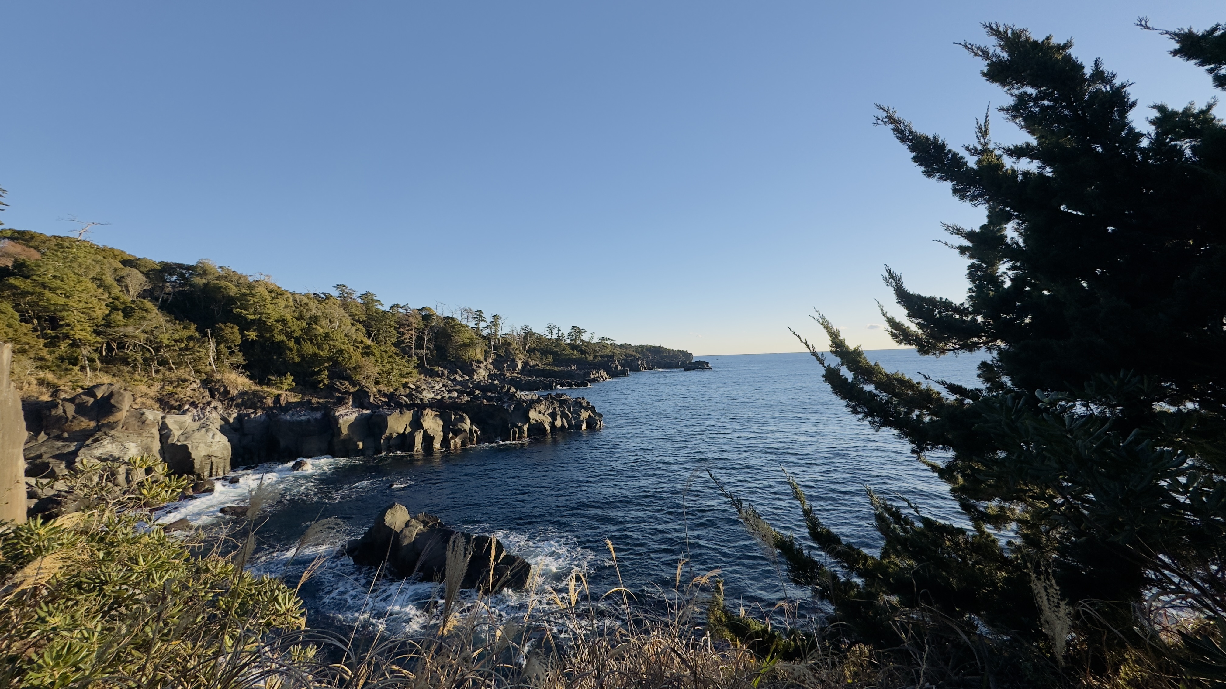 Япония: путешествие в прошлое и будущее (12/14)