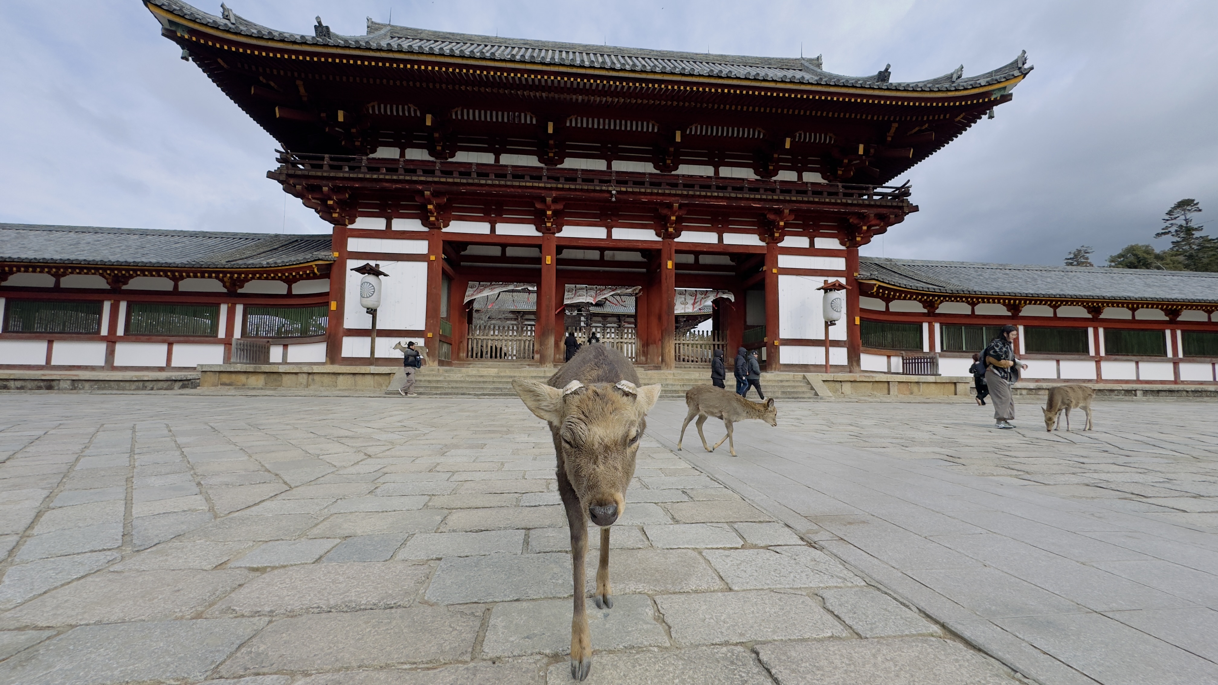 Япония: путешествие в прошлое и будущее