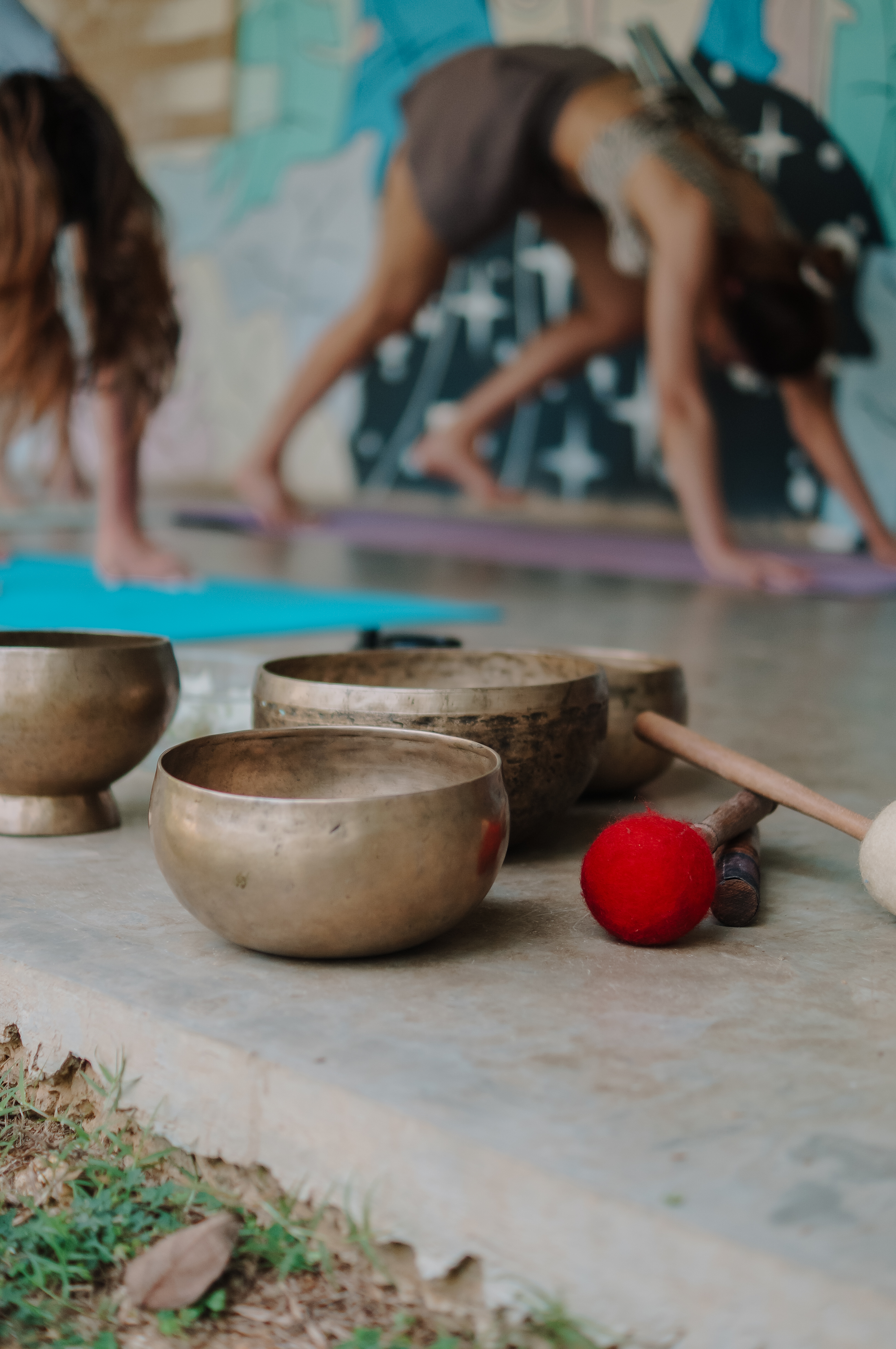 Тёплый слёт на Шри-Ланке (4/17)