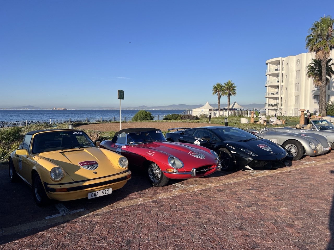 Юар-Большое Путешествие: пингвины, сафари и гепарды, вертолеты и вино (22/23)