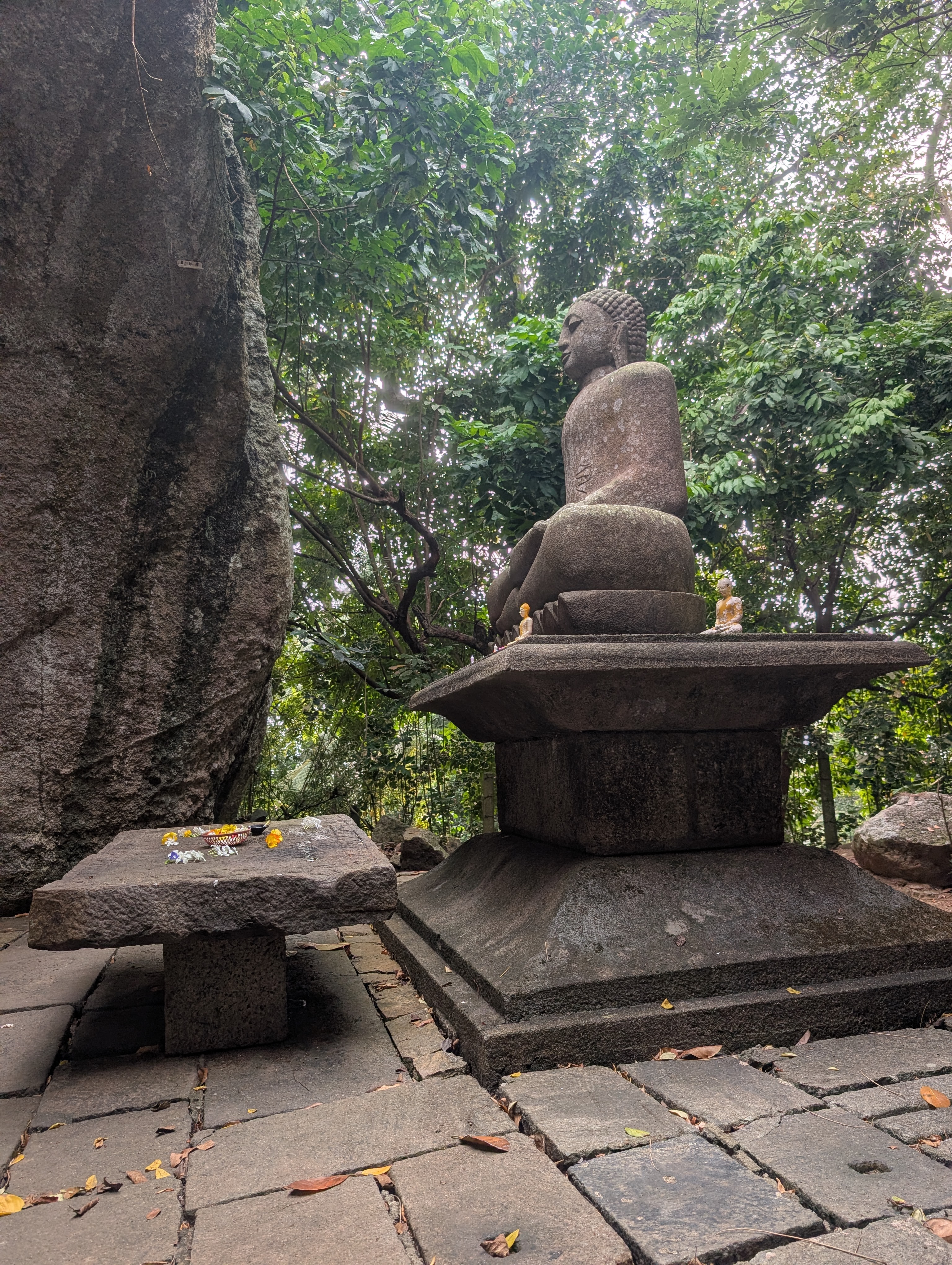 Тёплый слёт на Шри-Ланке (8/17)