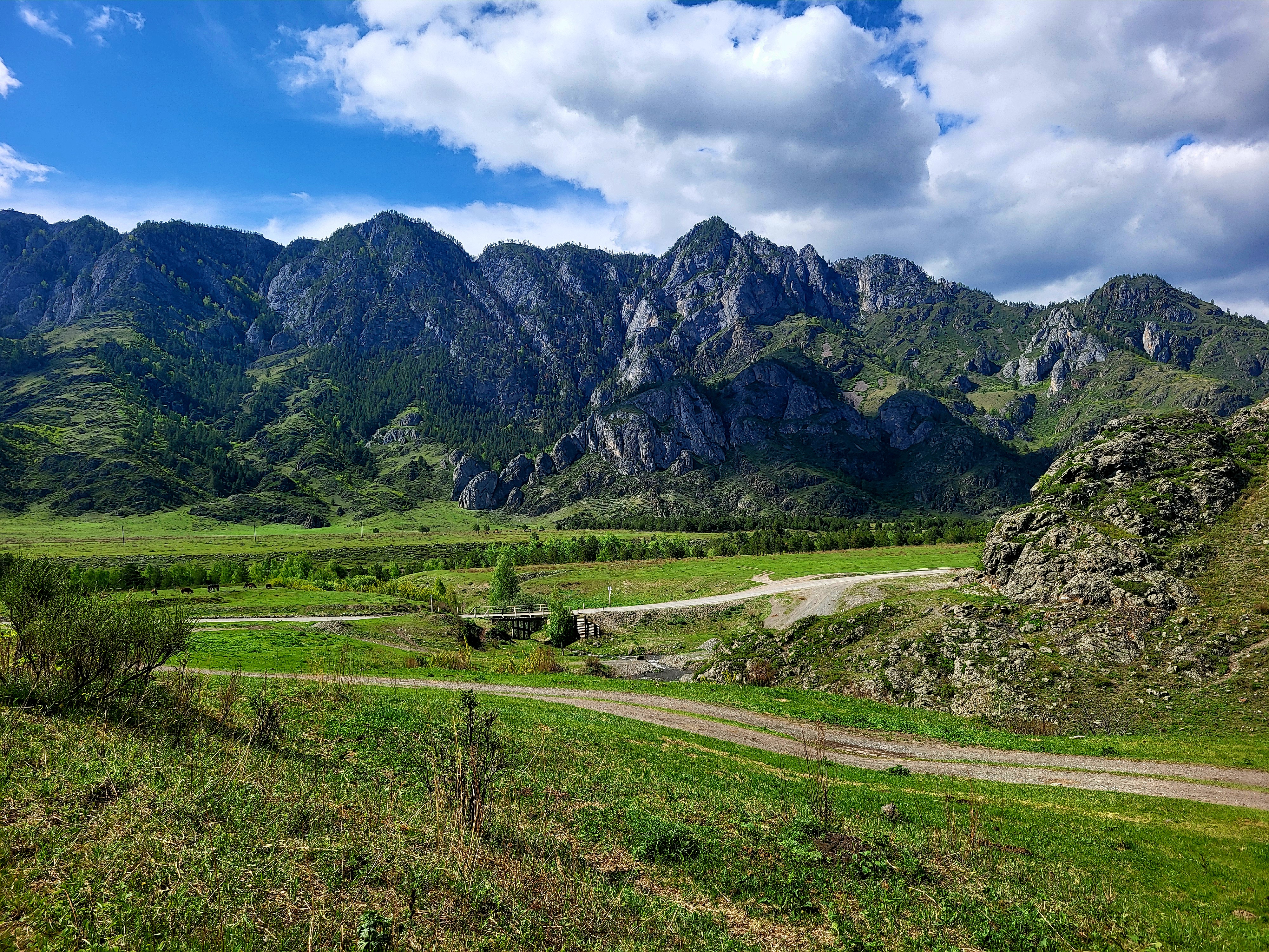 Алтайские краски: цветение маральника - 3 дня среди гор и рек (28/29)