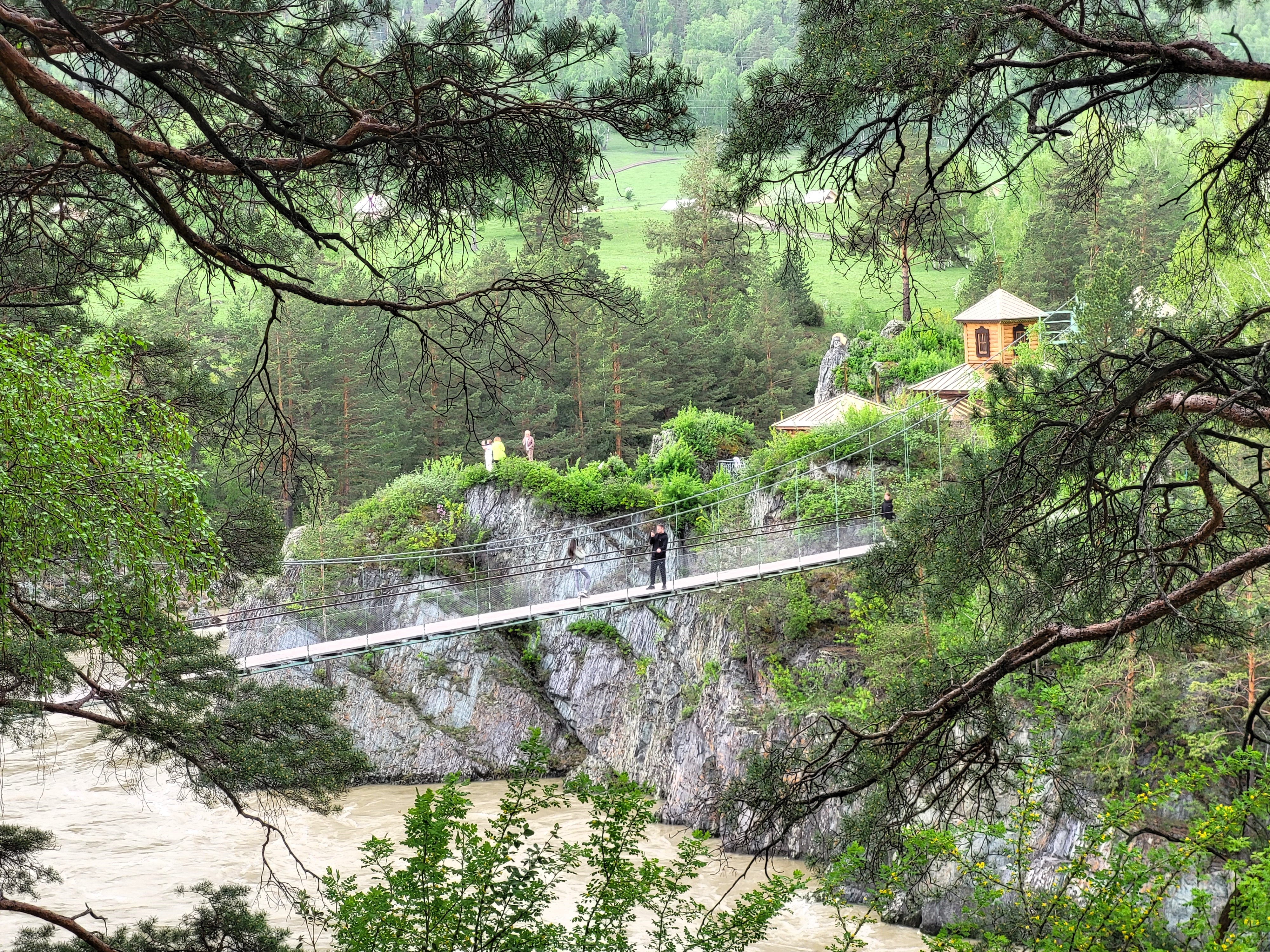 Алтайские краски: цветение маральника - 3 дня среди гор и рек (21/29)