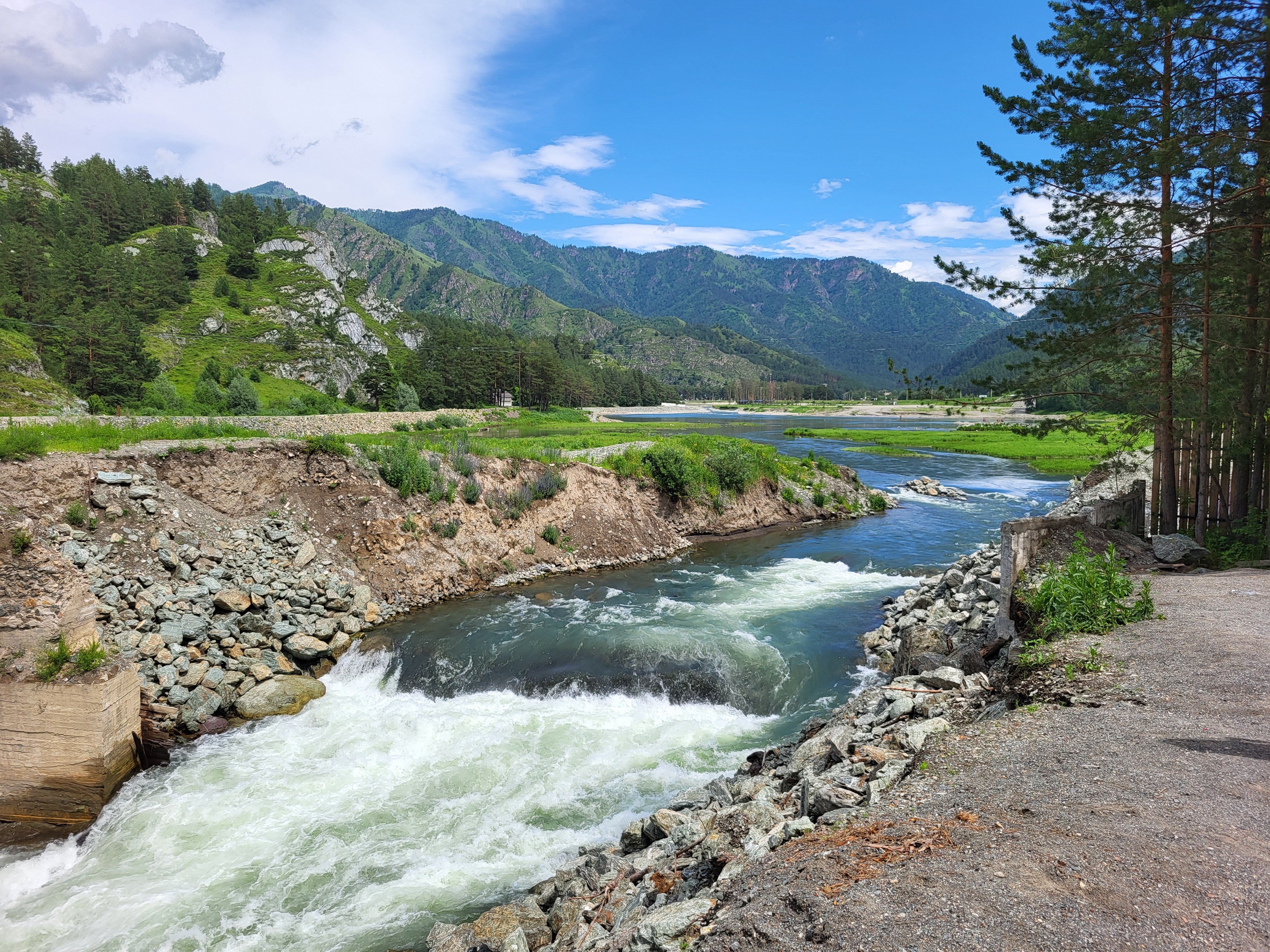 Алтайские краски: цветение маральника - 3 дня среди гор и рек (22/29)