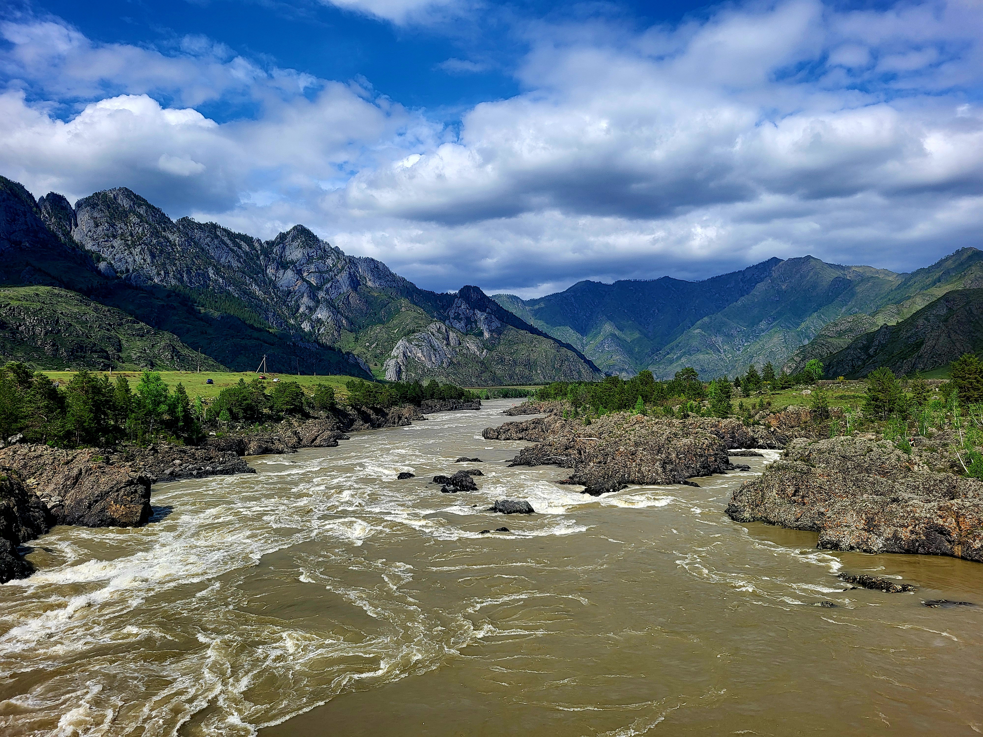 Алтайские краски: цветение маральника - 3 дня среди гор и рек (2/29)