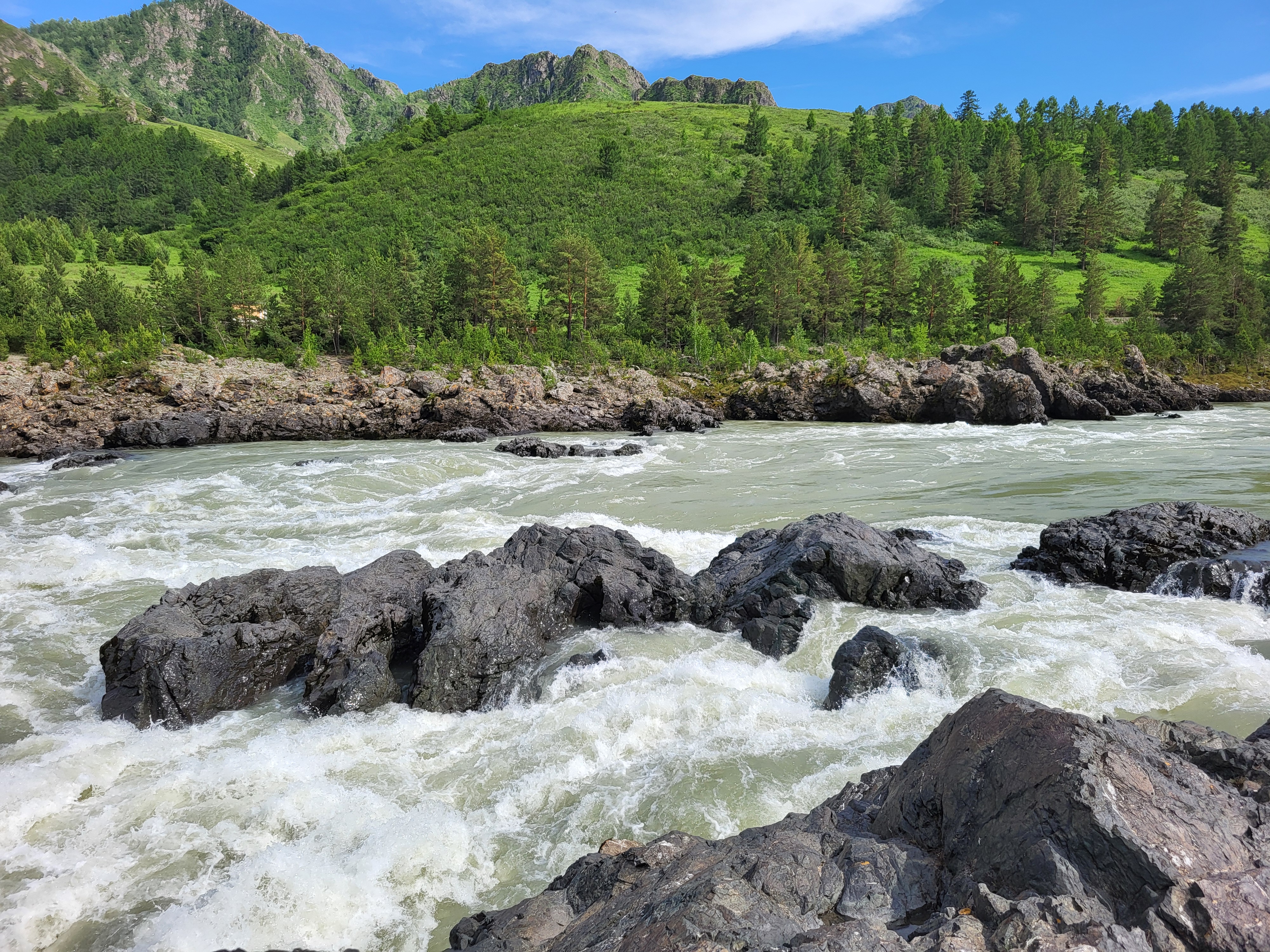 Алтайские краски: цветение маральника - 3 дня среди гор и рек (16/29)