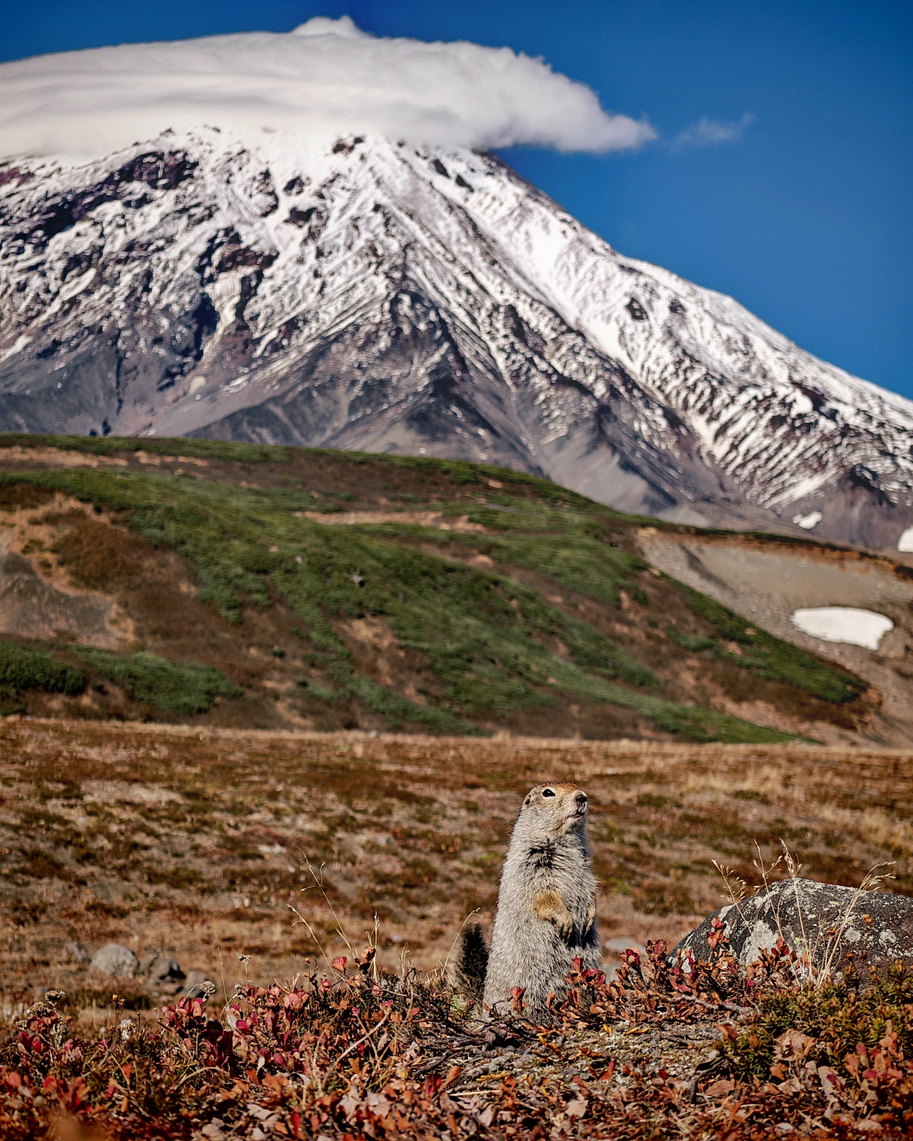Прогулка к экструзии Верблюд и вулканический пляж Тихого океана (18/18)