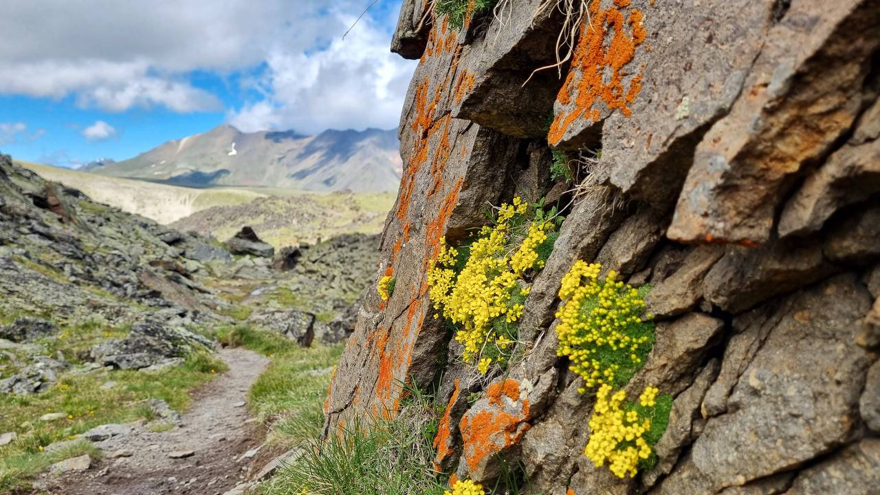 Джипинг и трекинг по Большому Кавказу (3/12)