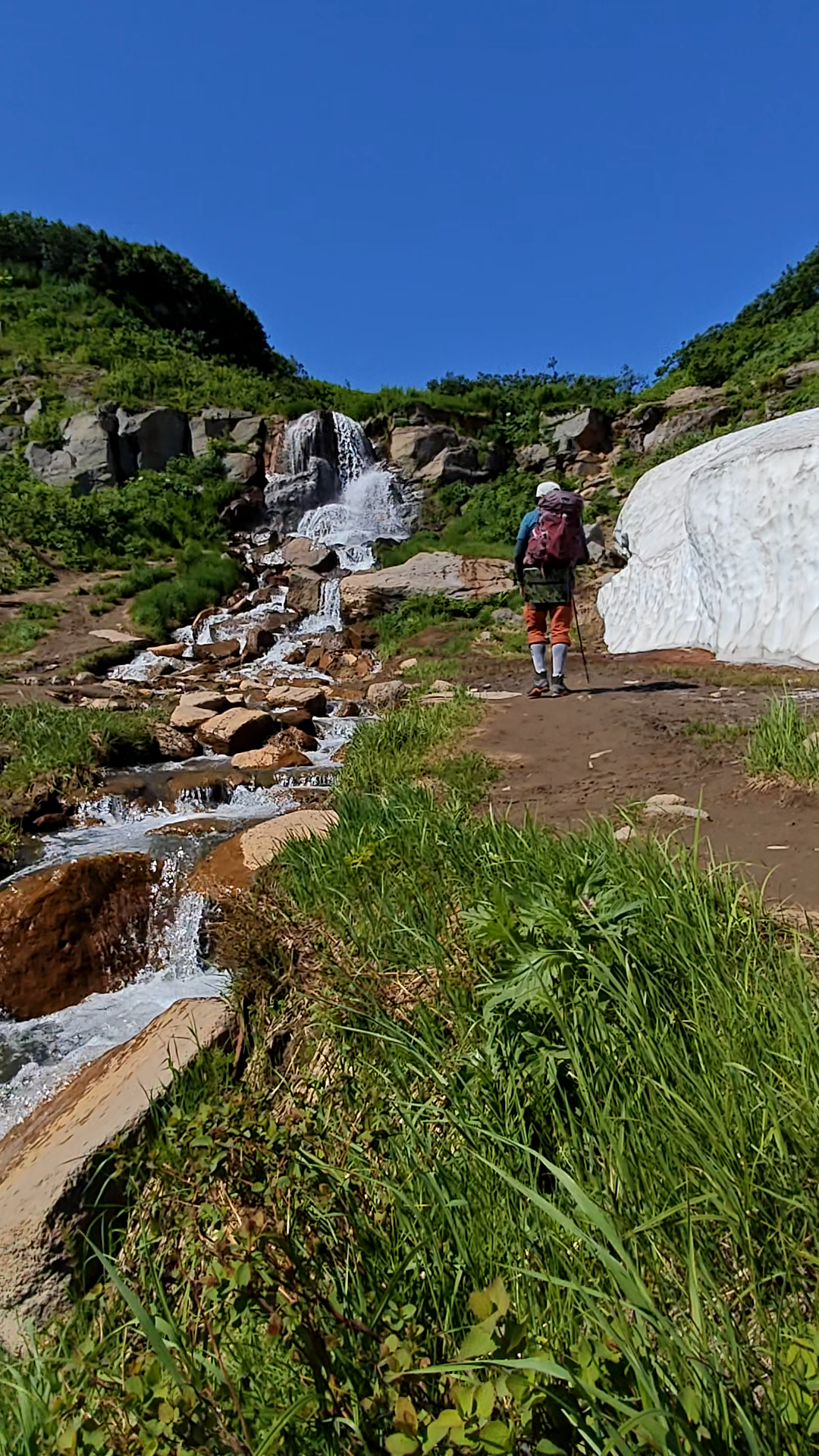 Малая Долина гейзеров (Дачные источники)  остров зелени у подножия активного вулкана (17/20)
