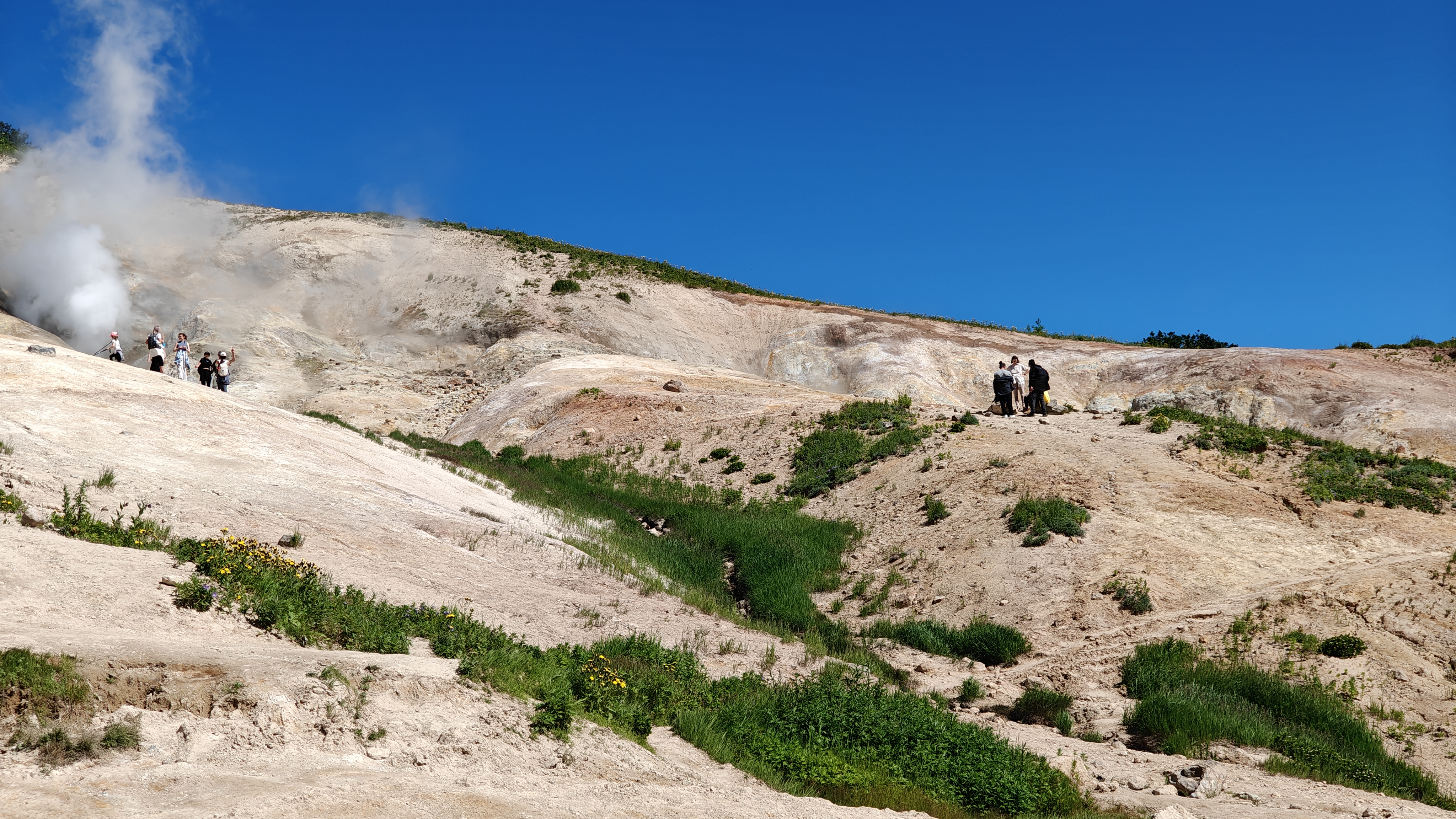 Малая Долина гейзеров (Дачные источники)  остров зелени у подножия активного вулкана (3/20)