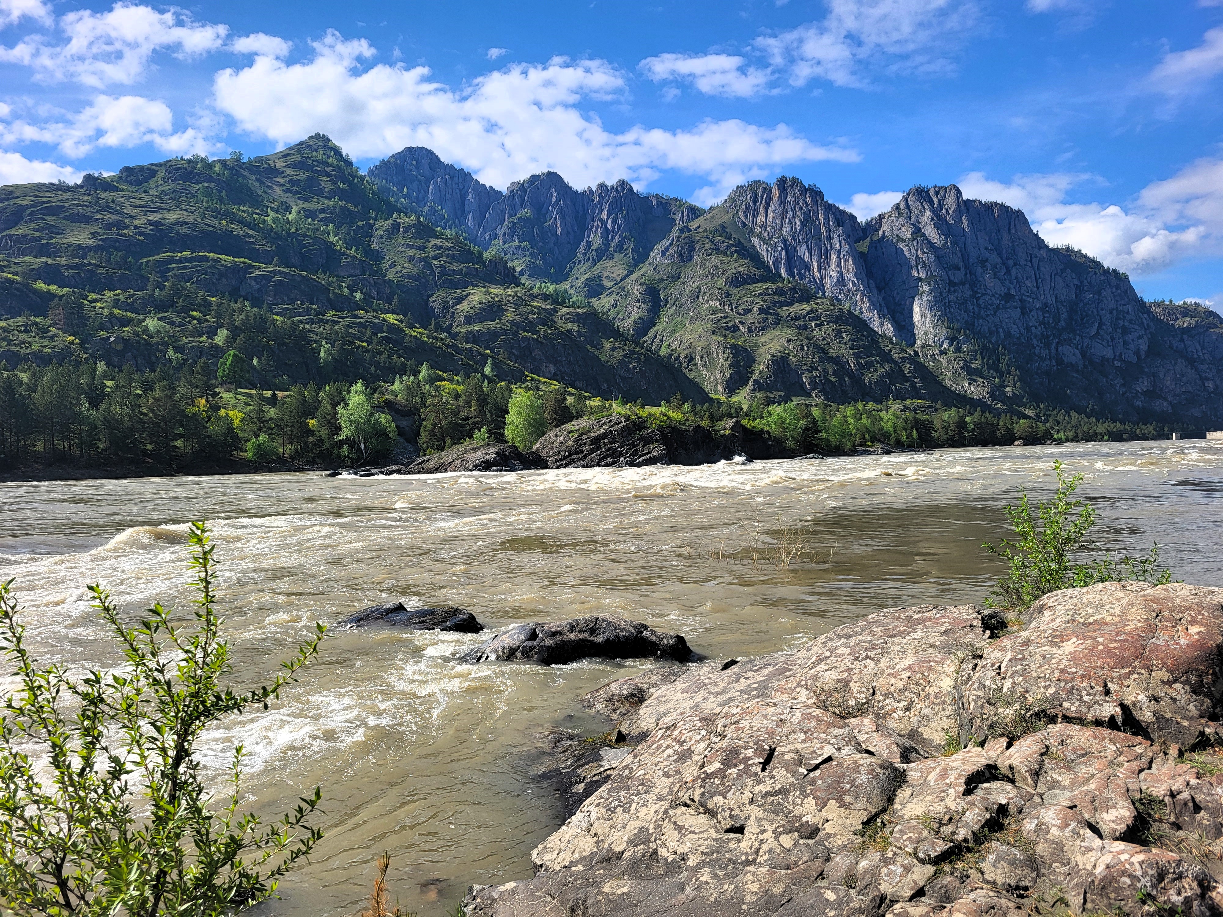 Алтайские краски: цветение маральника - 3 дня среди гор и рек (13/29)