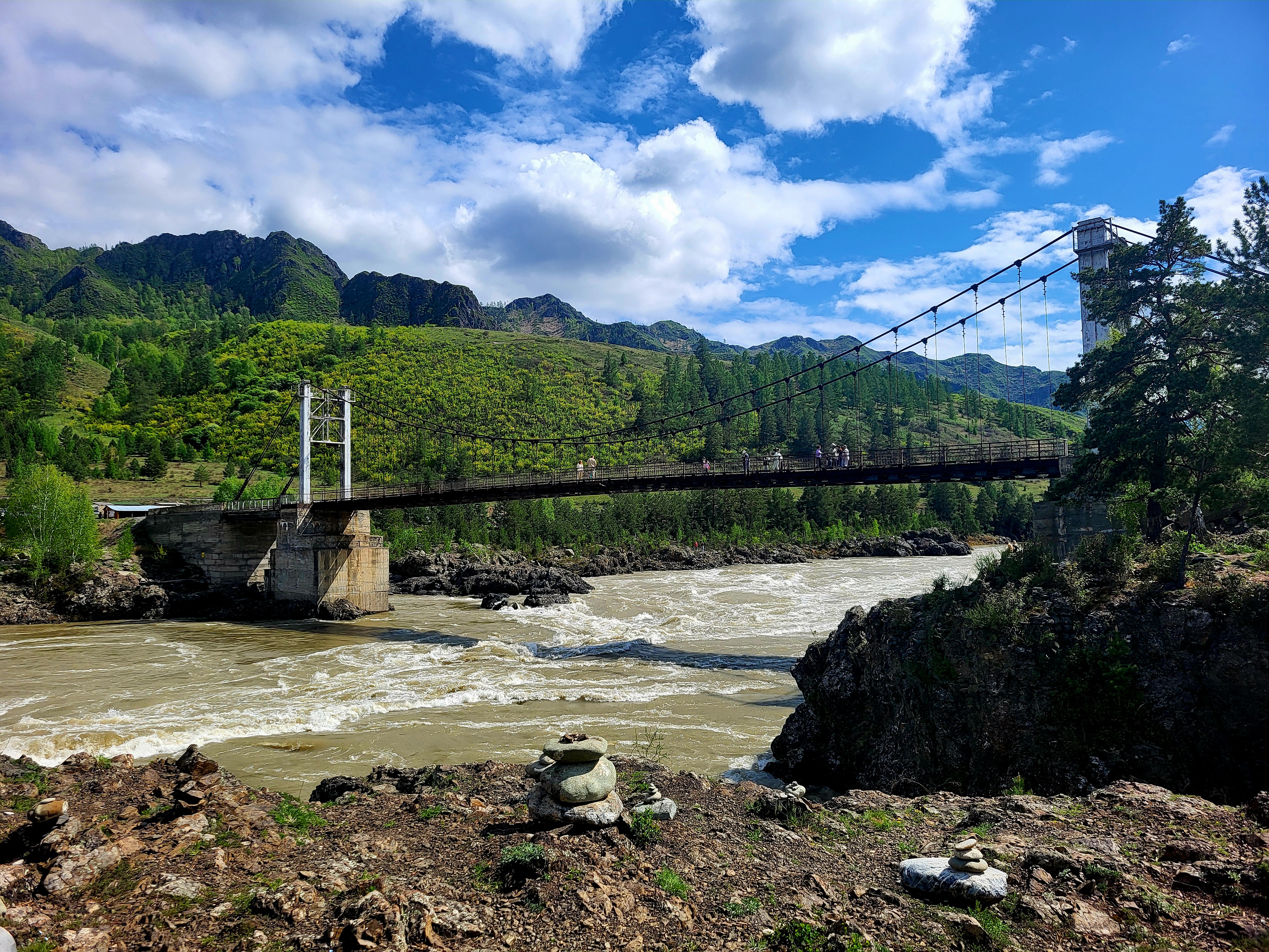 Алтайские краски: цветение маральника - 3 дня среди гор и рек (3/29)