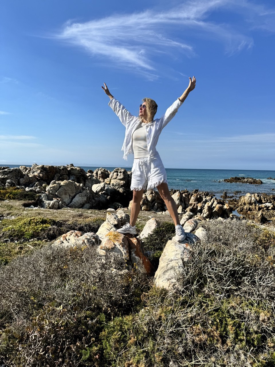 Юар-Большое Путешествие: пингвины, сафари и гепарды, вертолеты и вино (23/23)