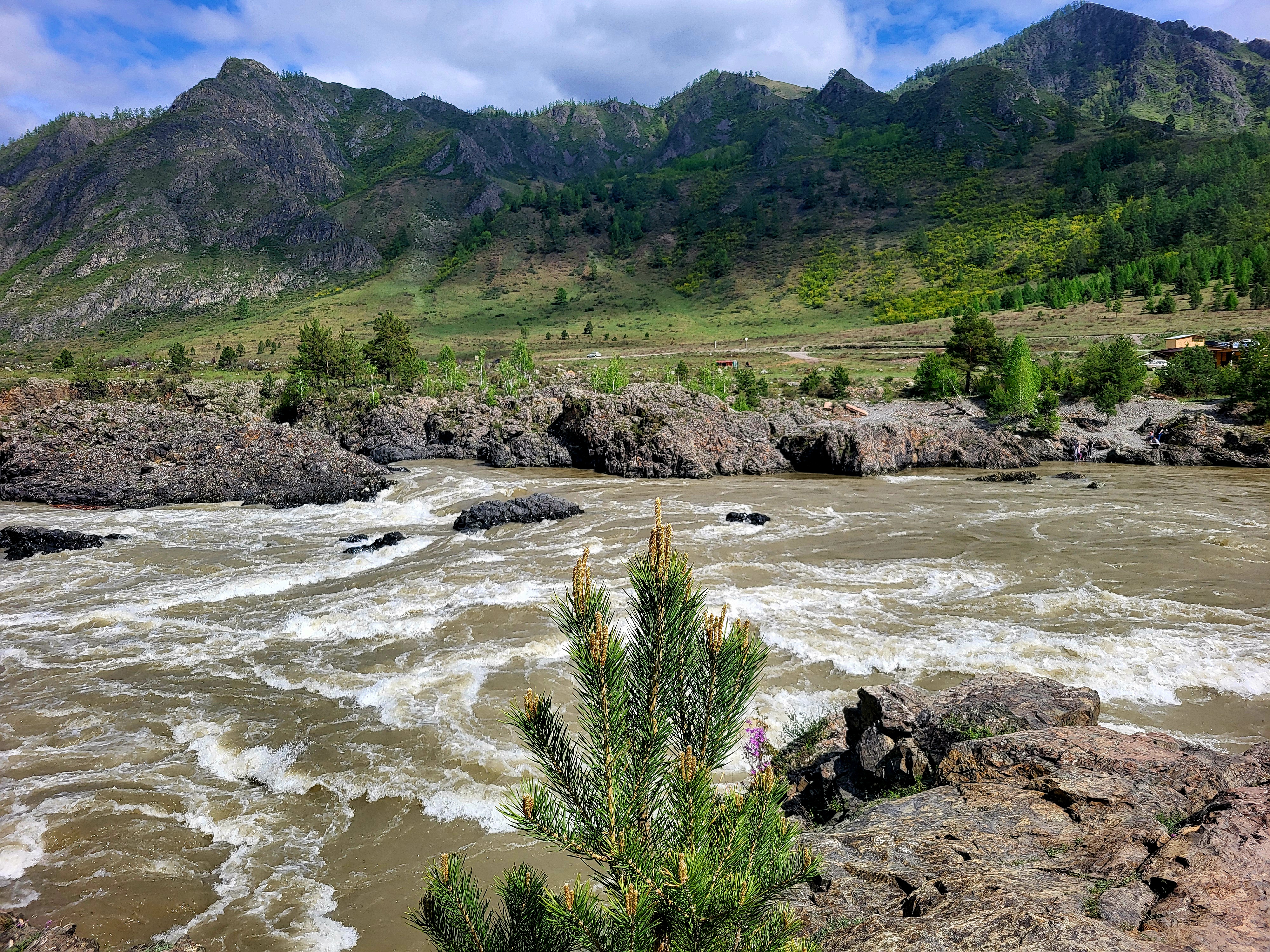 Алтайские краски: цветение маральника - 3 дня среди гор и рек (5/29)