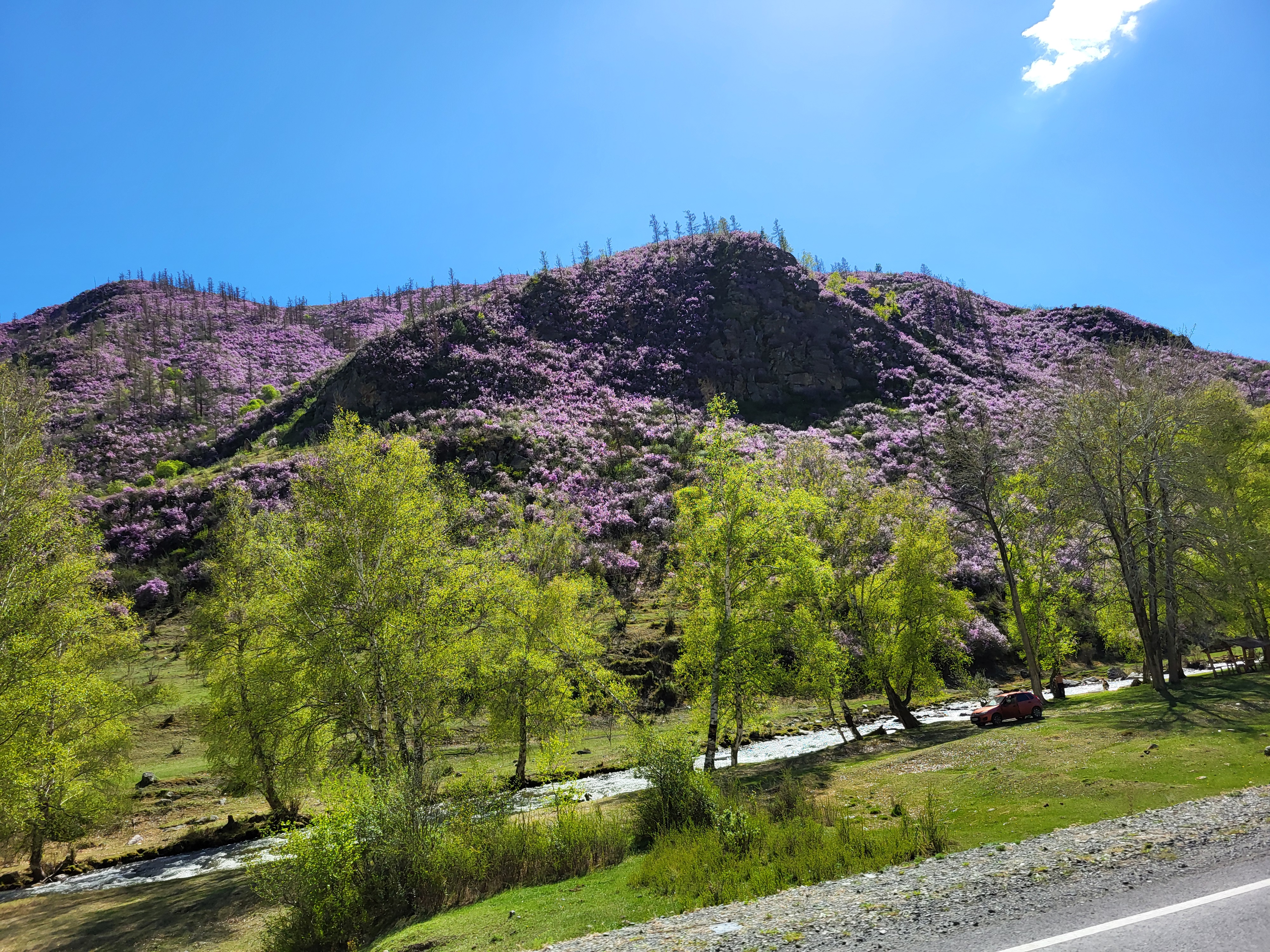 Алтайские краски: цветение маральника - 3 дня среди гор и рек (26/29)