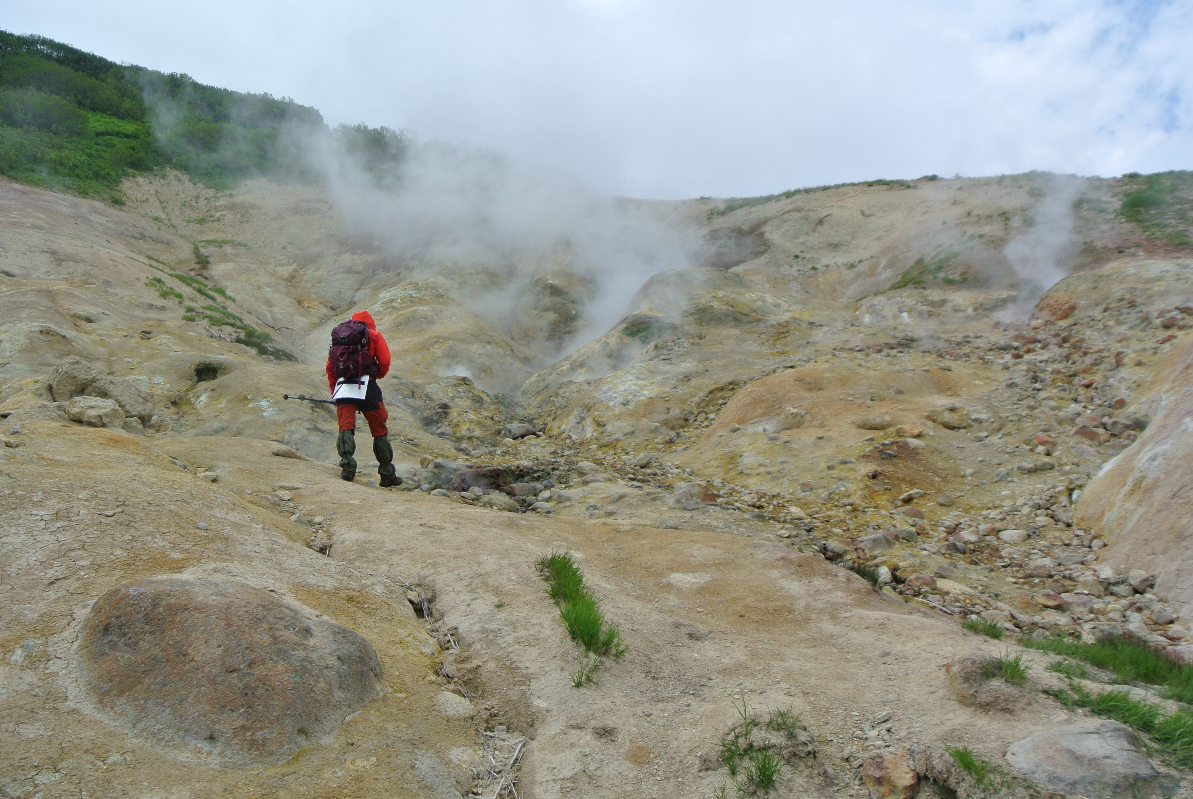 Малая Долина гейзеров (Дачные источники)  остров зелени у подножия активного вулкана (9/20)
