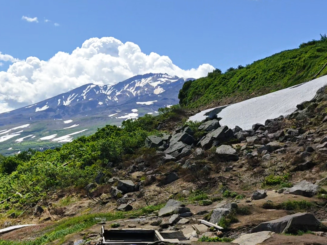 Малая Долина гейзеров (Дачные источники)  остров зелени у подножия активного вулкана (16/20)