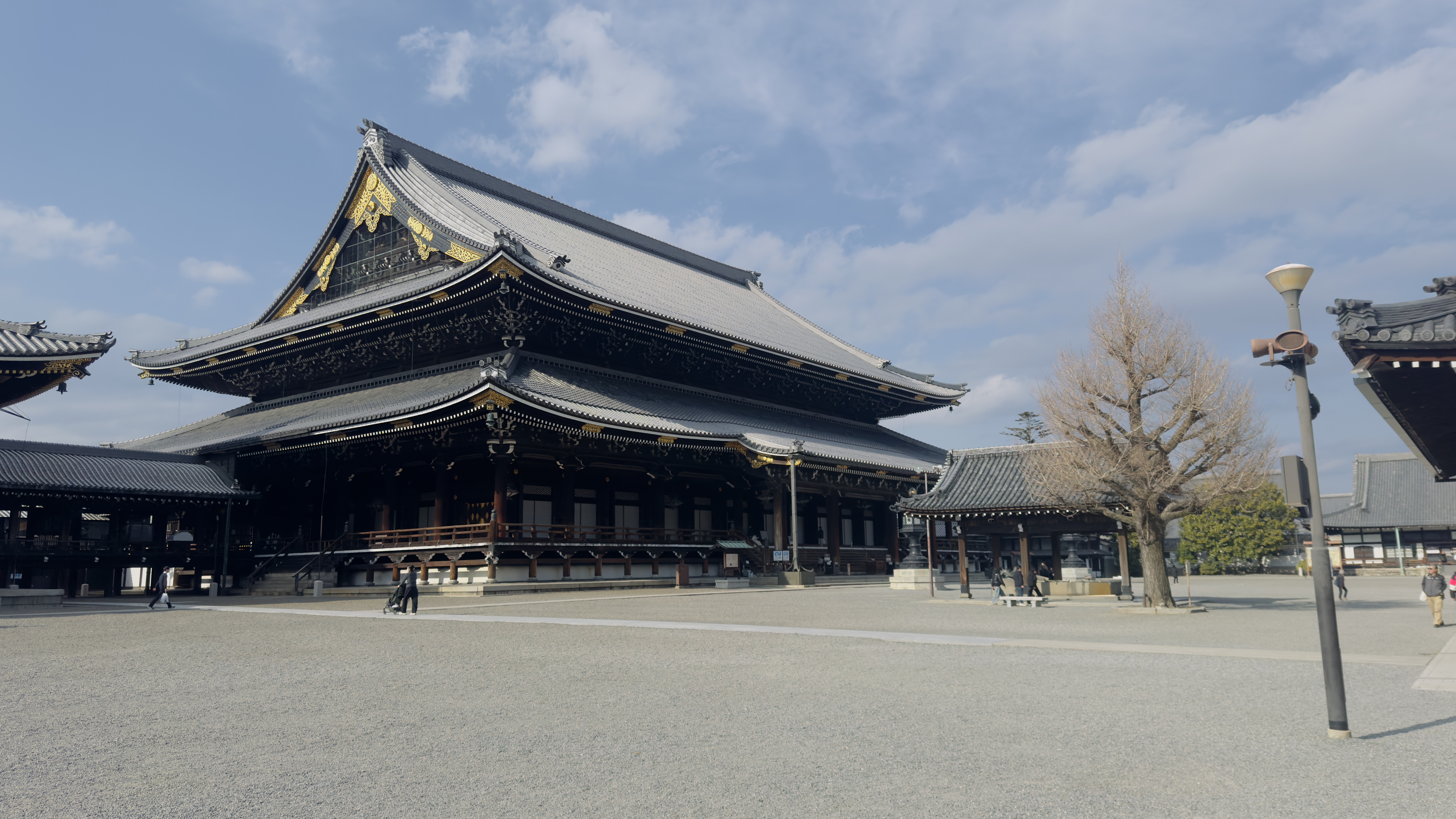 Япония: путешествие в прошлое и будущее (8/14)