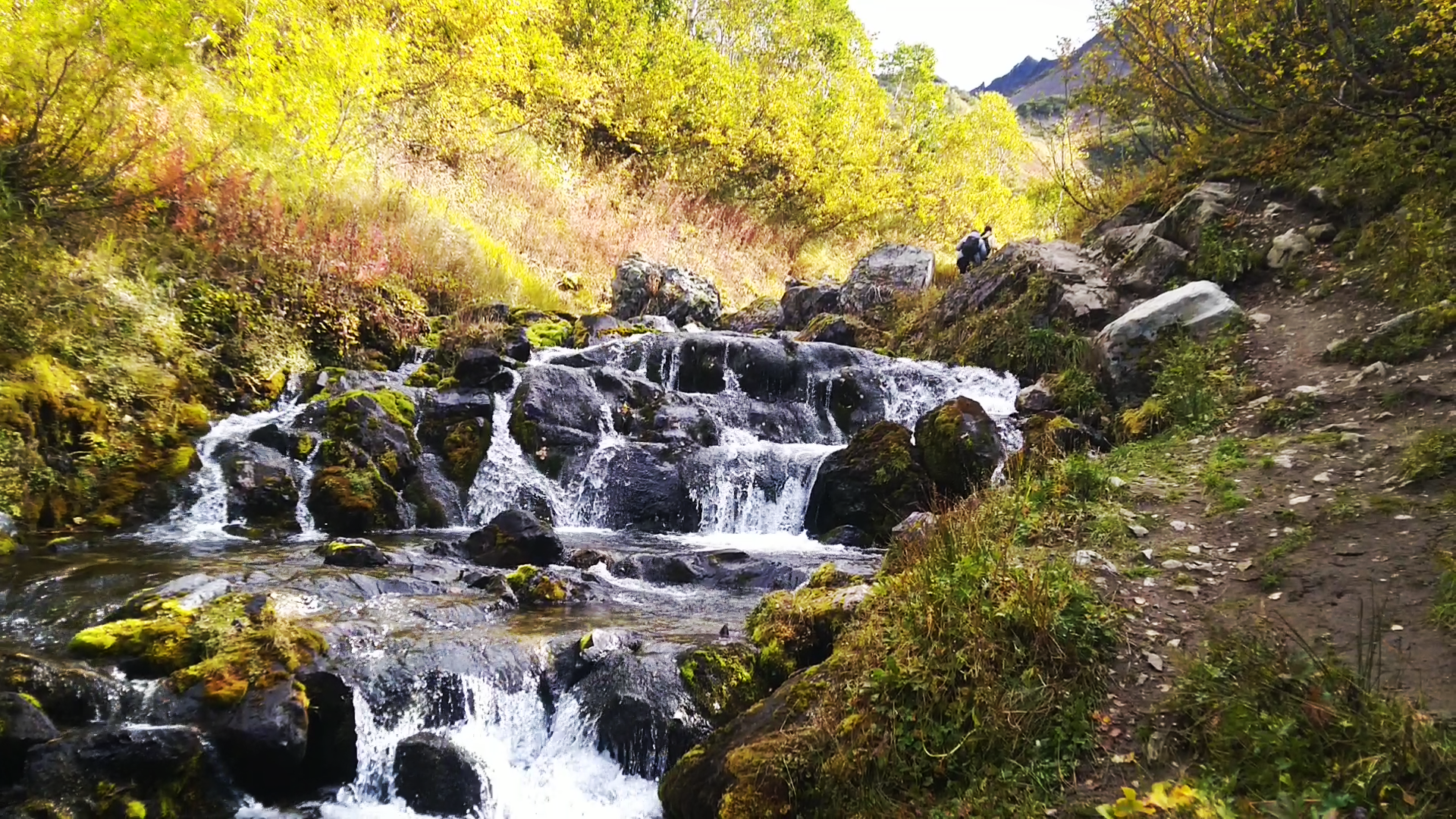 Тропы, водопады и цирк горного массива Вачкажец  миниатюрный Алтай на Камчатке (18/20)