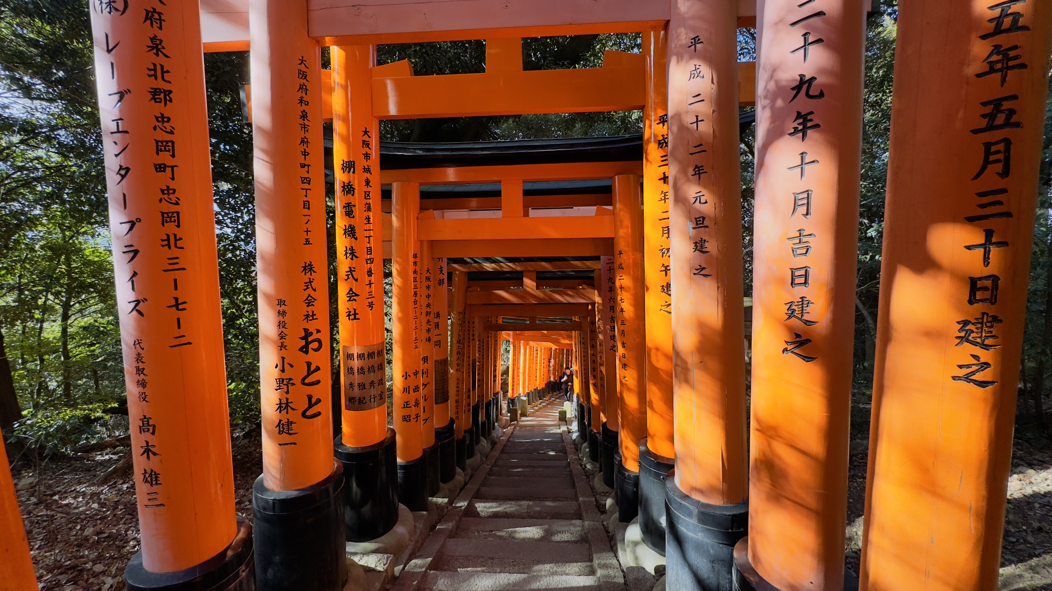 Япония: путешествие в прошлое и будущее (14/14)