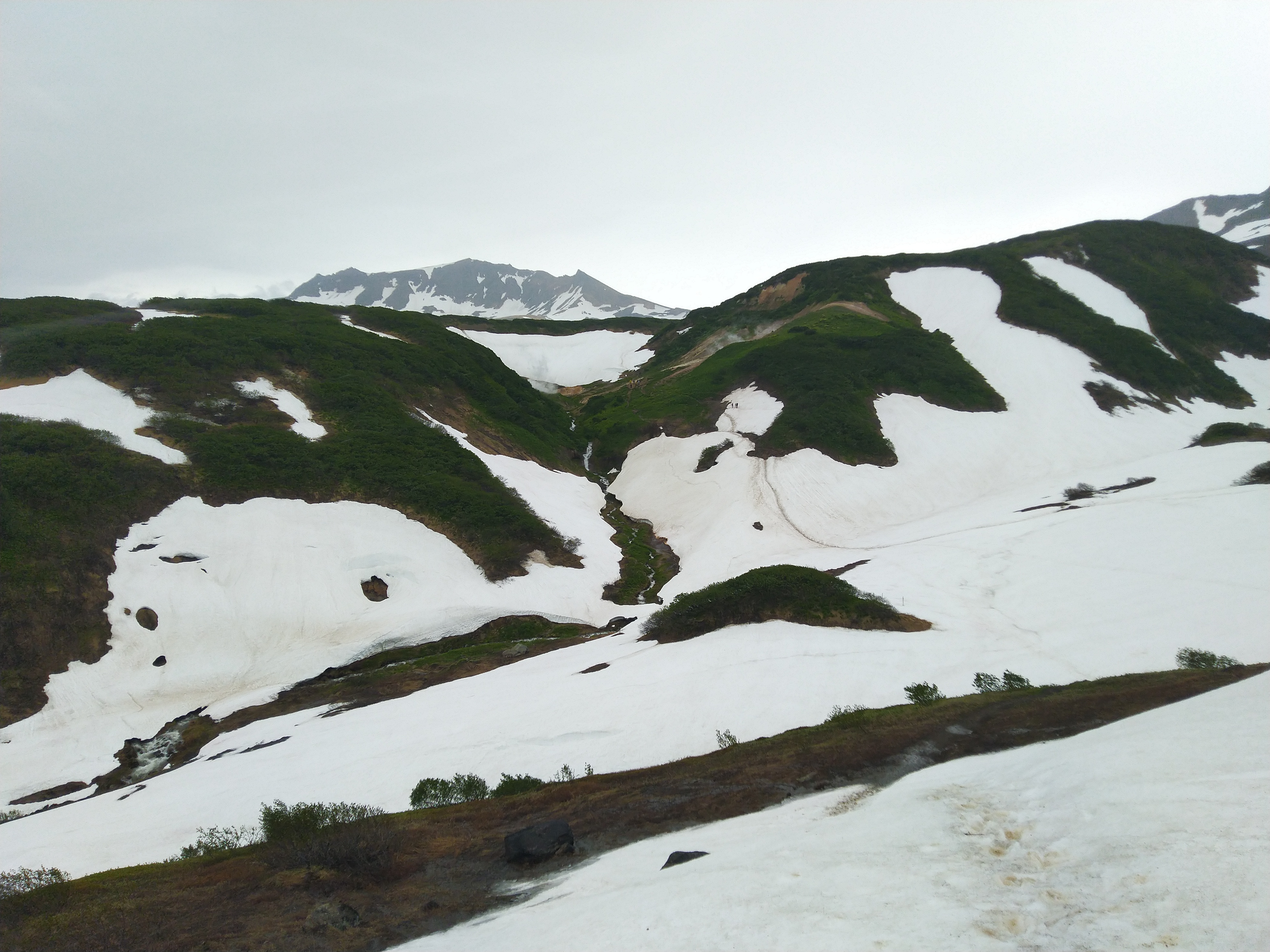 Малая Долина гейзеров (Дачные источники)  остров зелени у подножия активного вулкана (10/20)