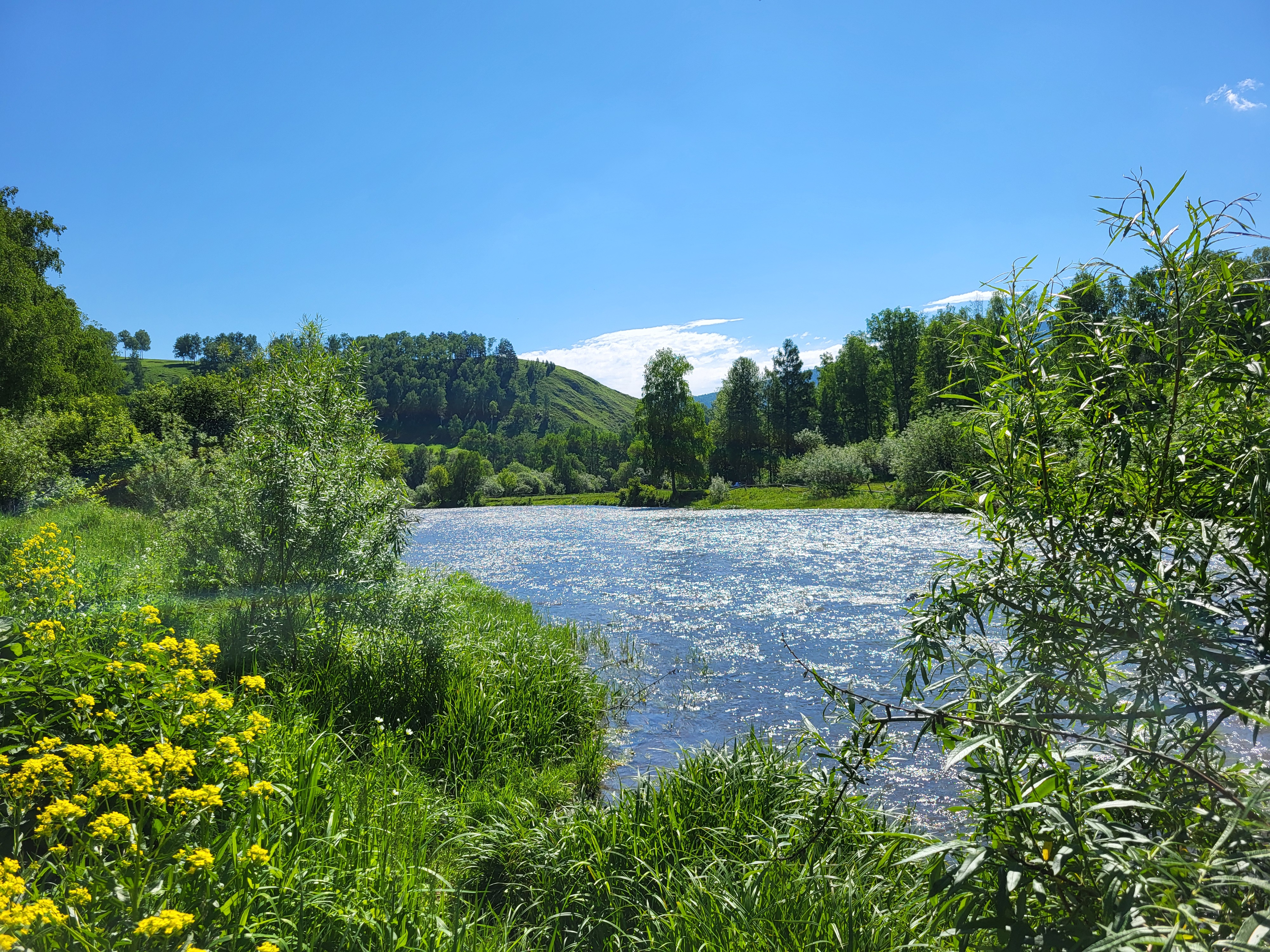 Алтайские краски: цветение маральника - 3 дня среди гор и рек (18/29)
