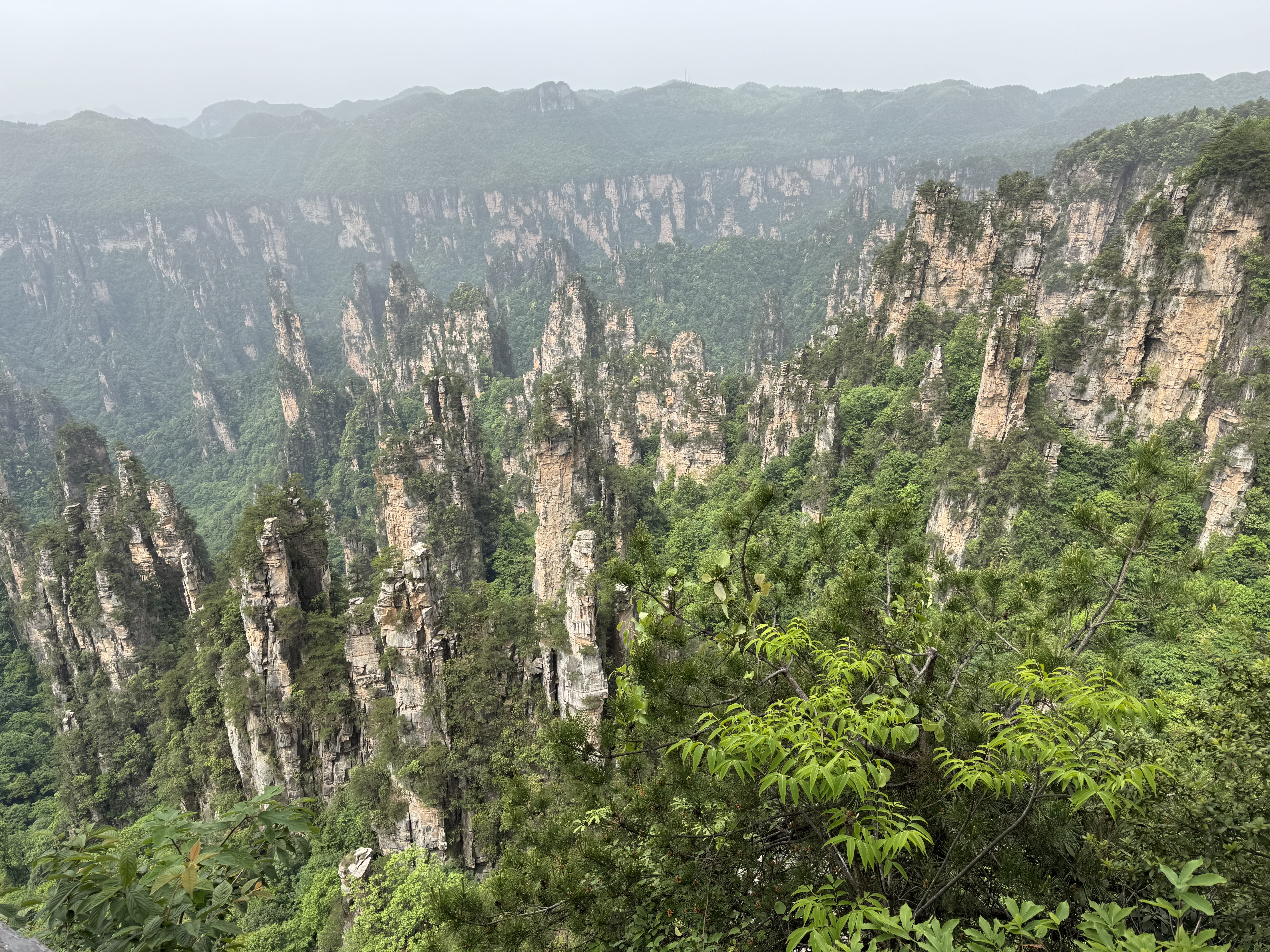 Выходные в Горах Аватара (11/22)