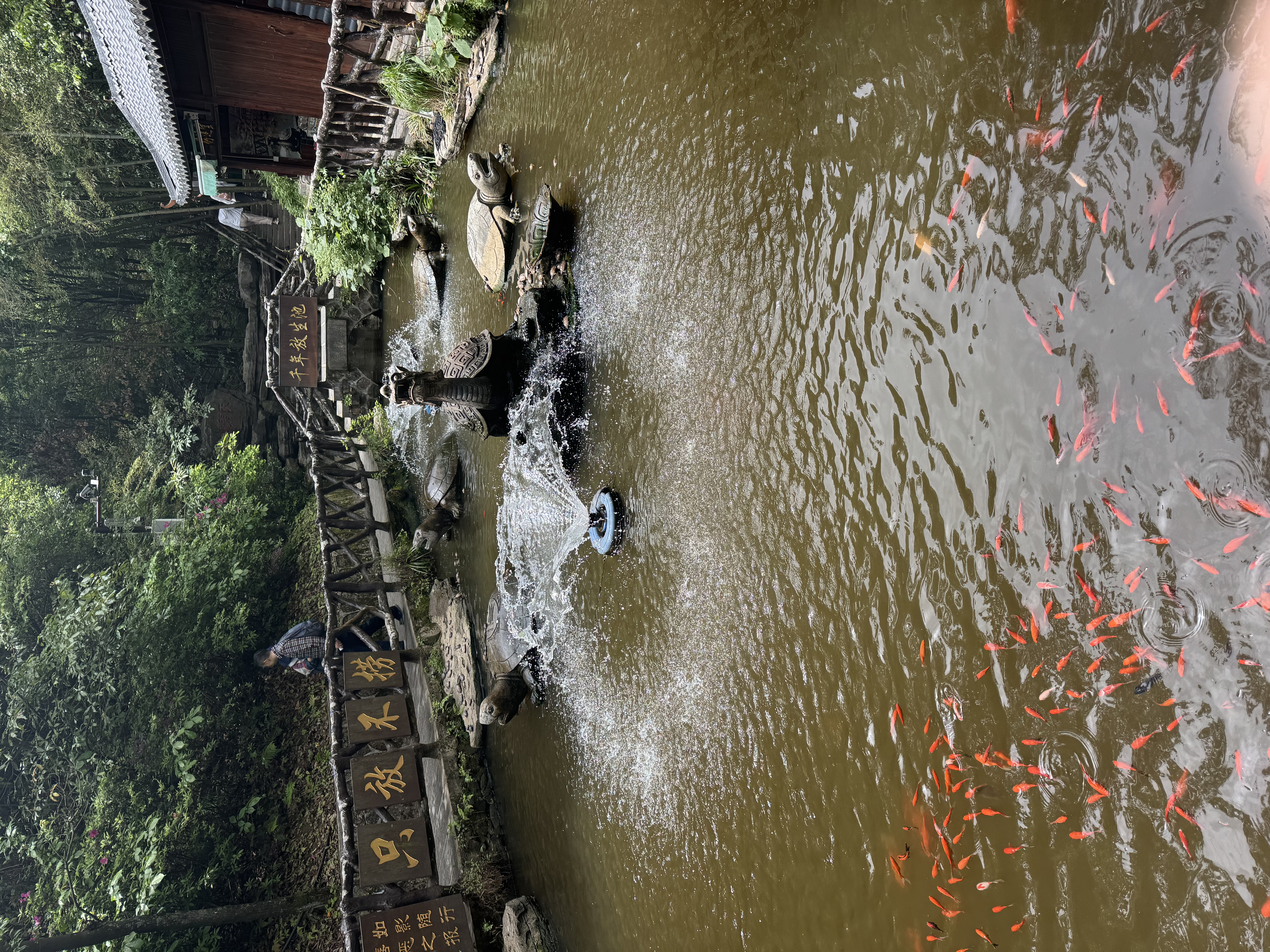 Выходные в Горах Аватара (7/22)