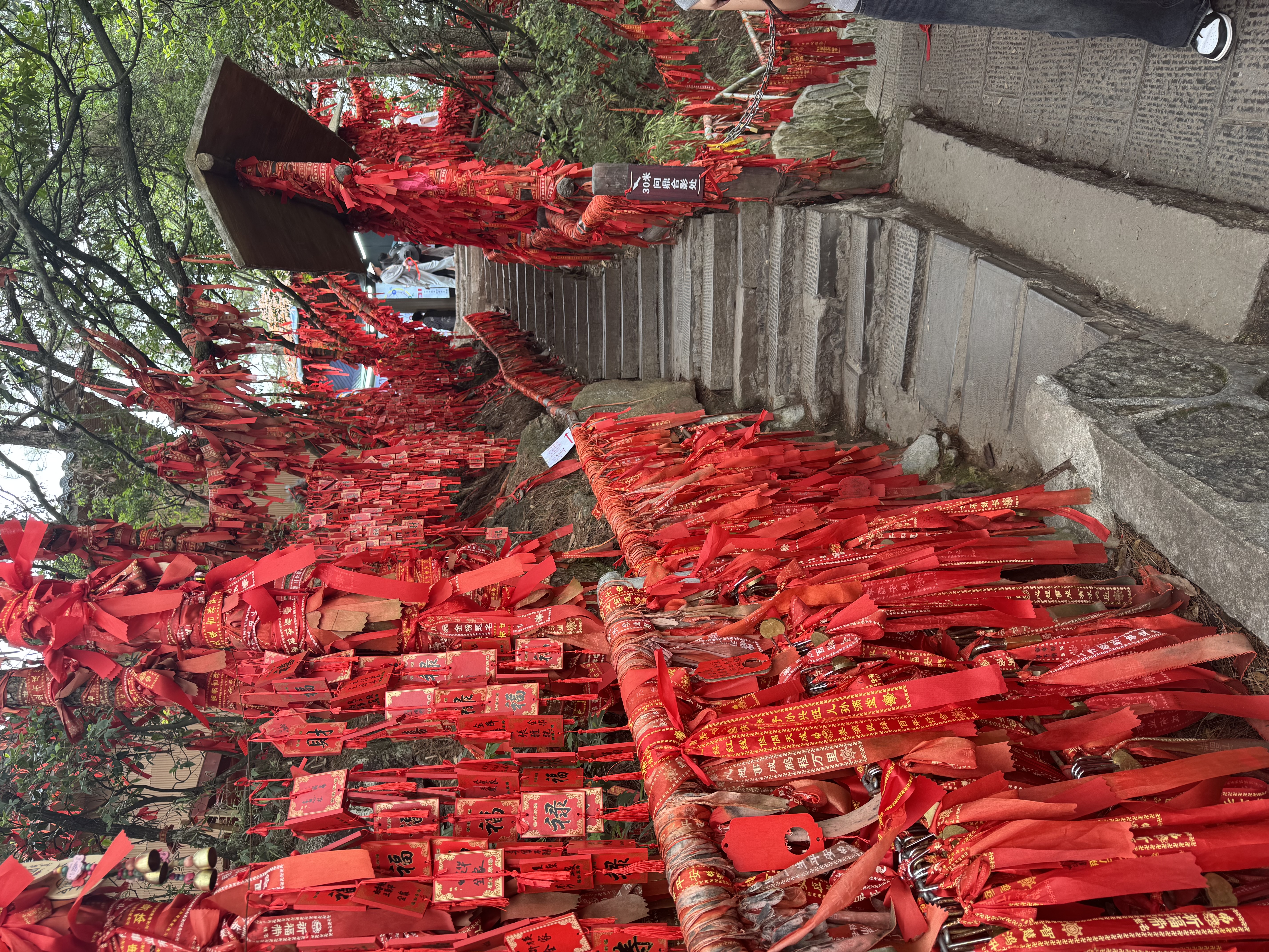 Выходные в Горах Аватара (8/22)