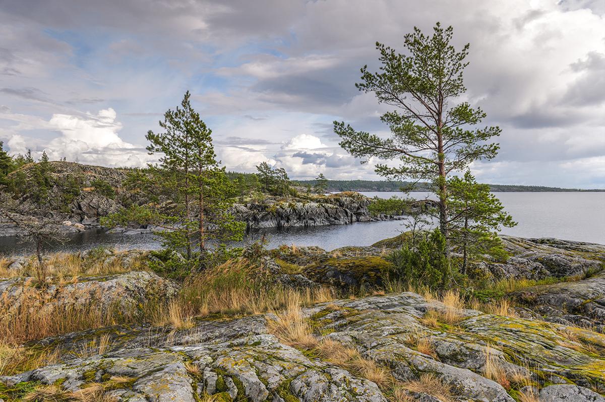 Вся Карелия. Мультитур от Онеги до Ладоги. Любые Даты! (25/45)