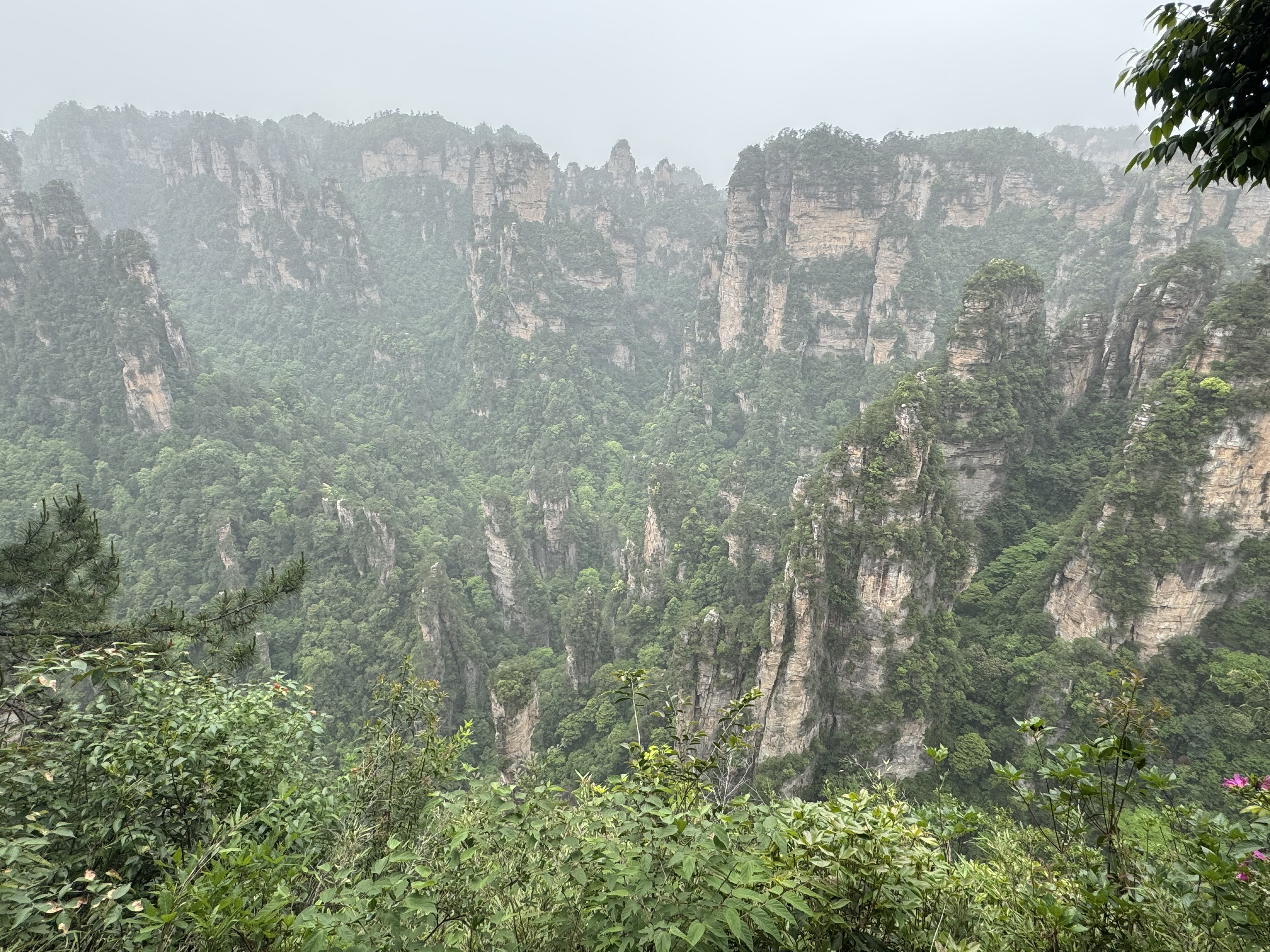 Выходные в Горах Аватара