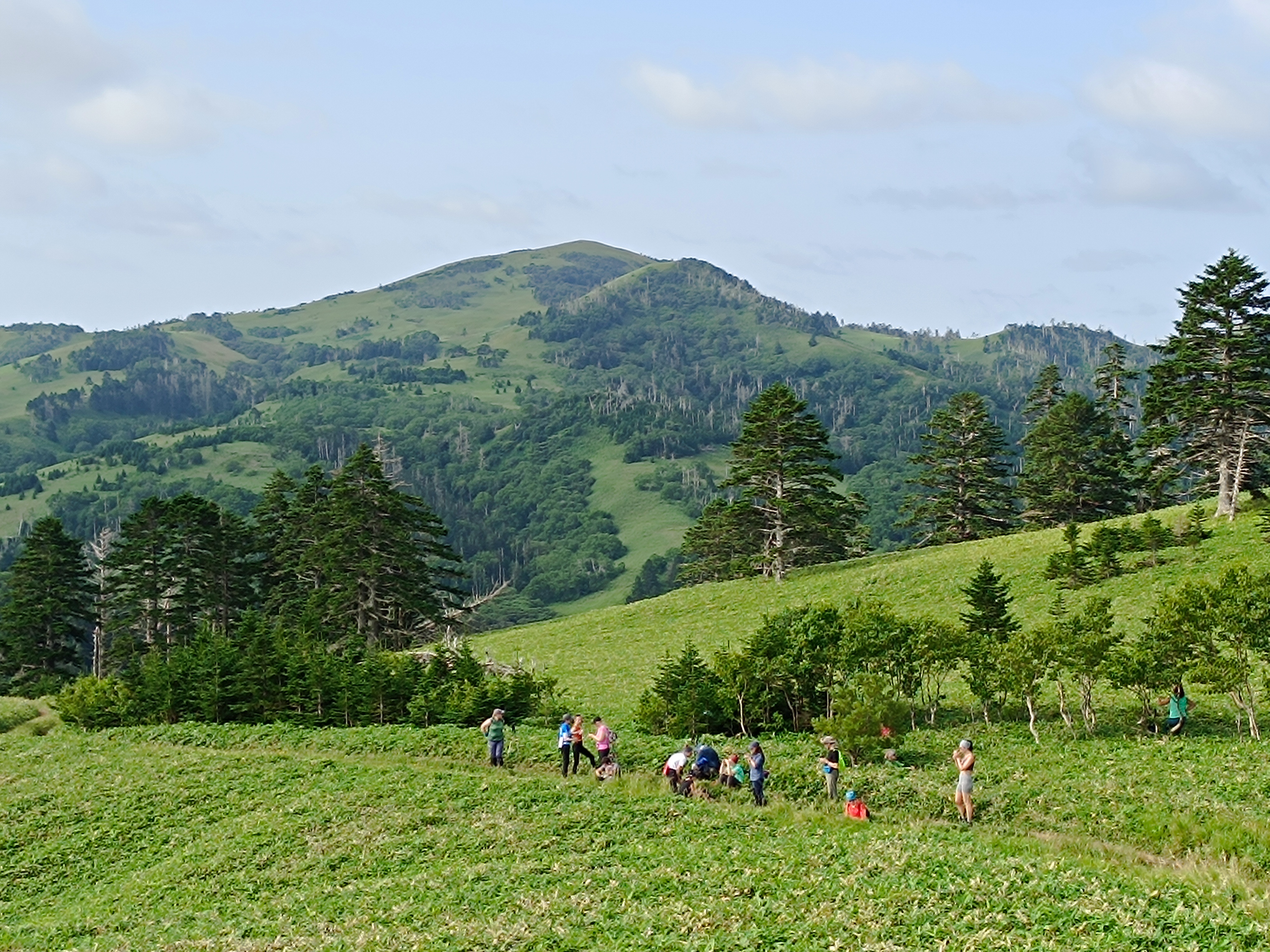 Сахалин и Курильские острова без рюкзаков: Шикотан и Кунашир (33/39)