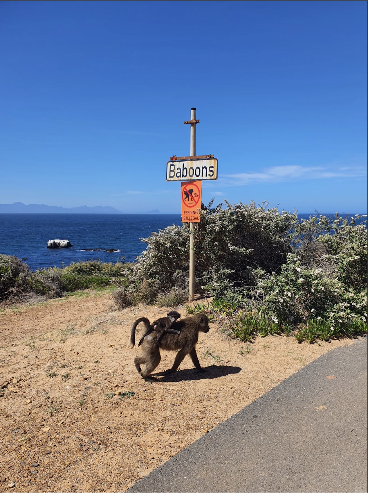 Юар в лицах и историях (4/18)