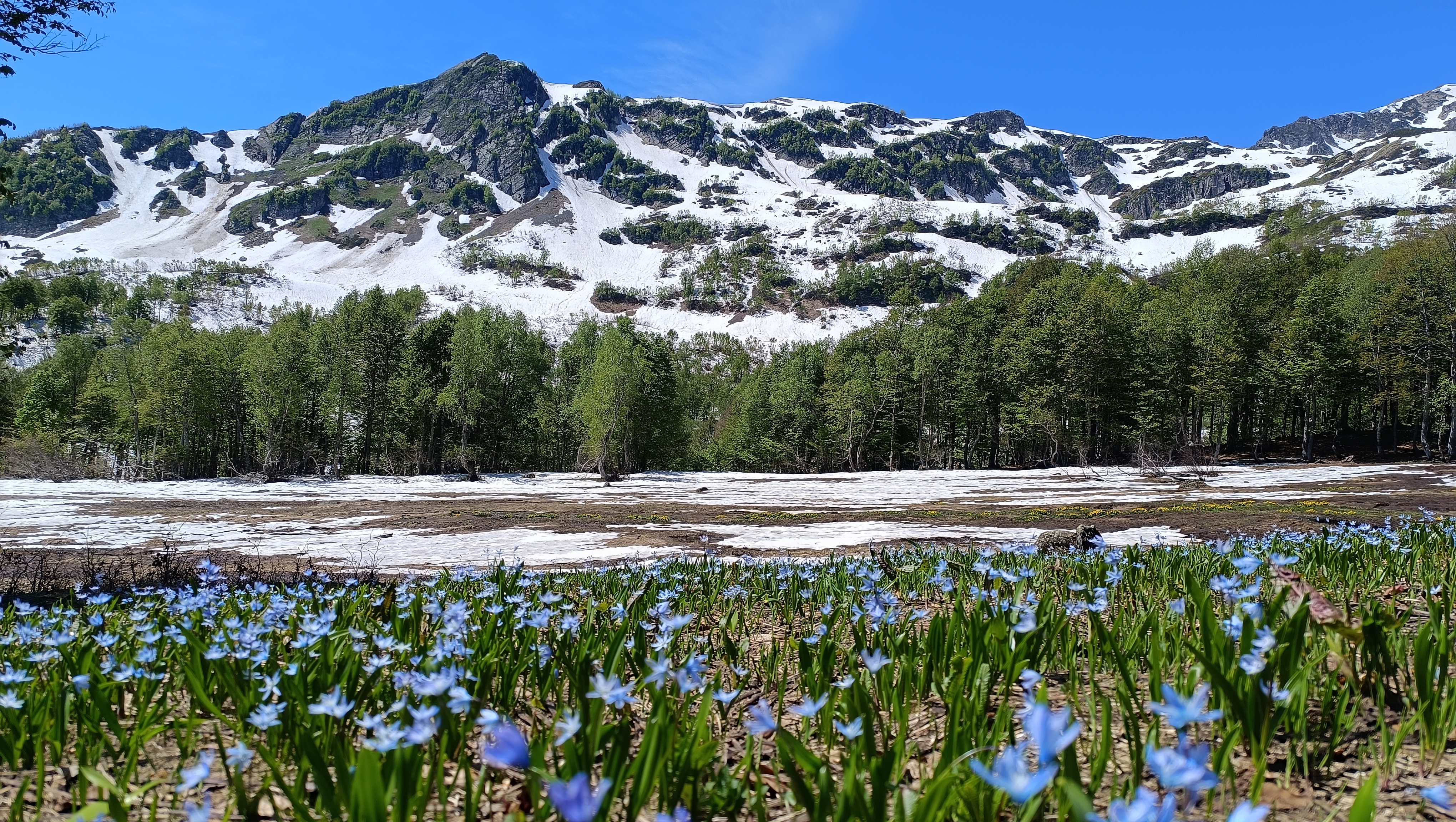 Активный мультитур Другая Абхазия (66/91)