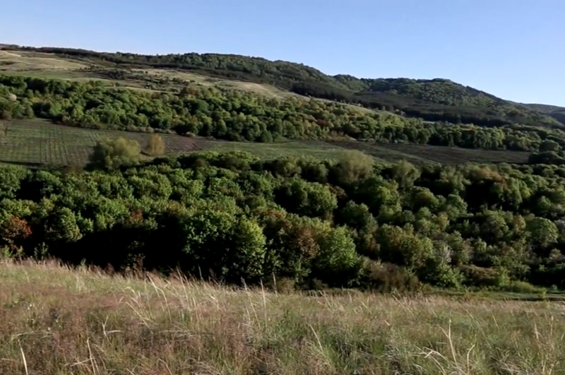 Релакс тур Хвалынская перезагрузка с отдыхом в Хвалынских термах (5/12)