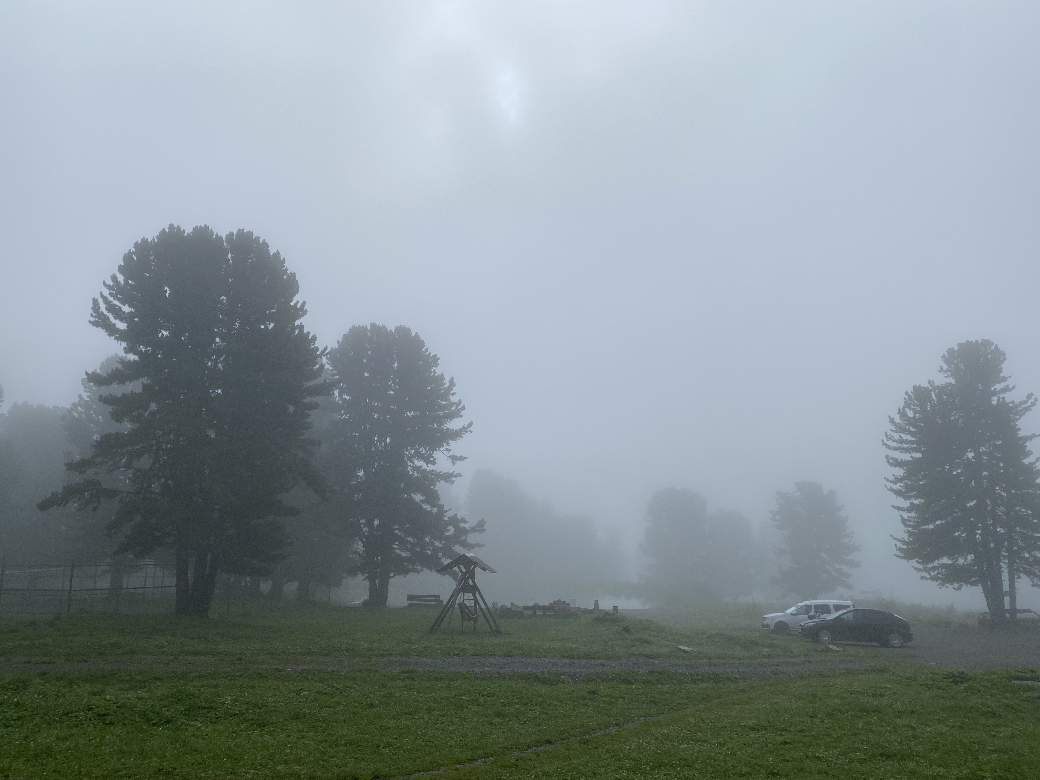 Женский тур на Алтай со специалистом по восстановлению тела и духа (8/13)