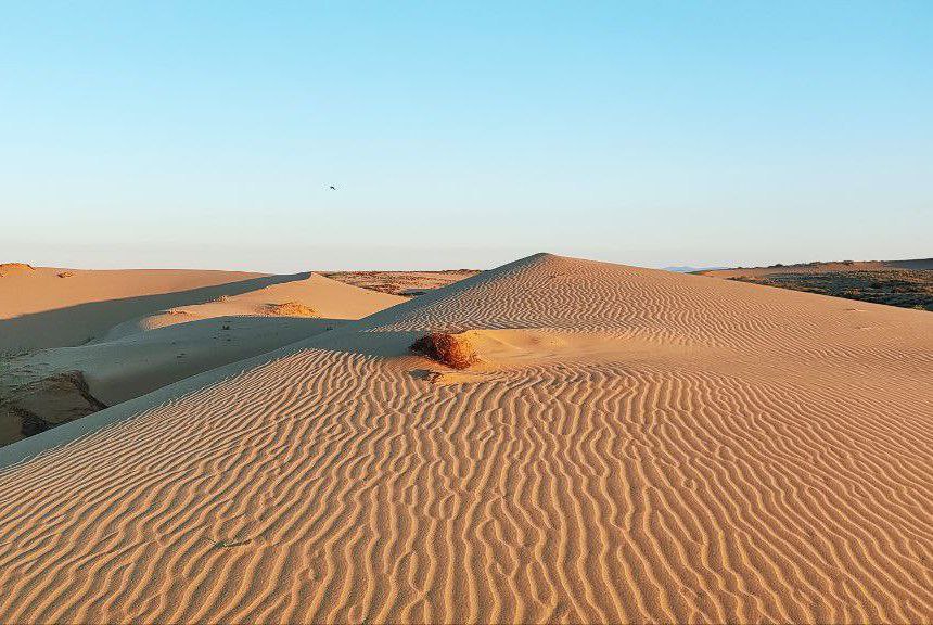 Цветущая Монголия. Озера и Барханы (30/47)