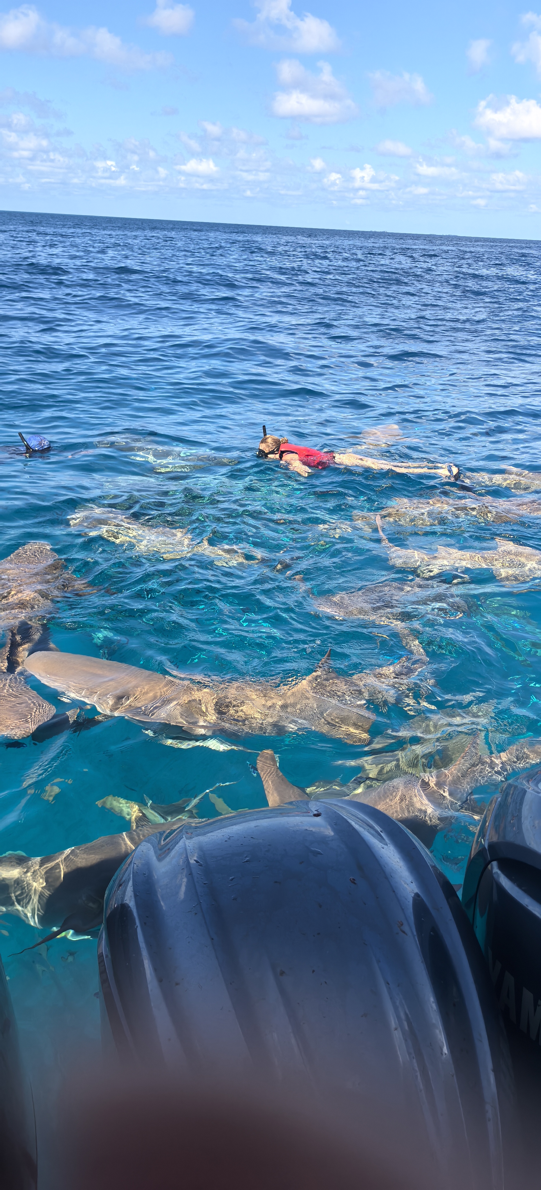 Сингапур-Мальдивы-Малайзия - завораживающее трио! (22/31)