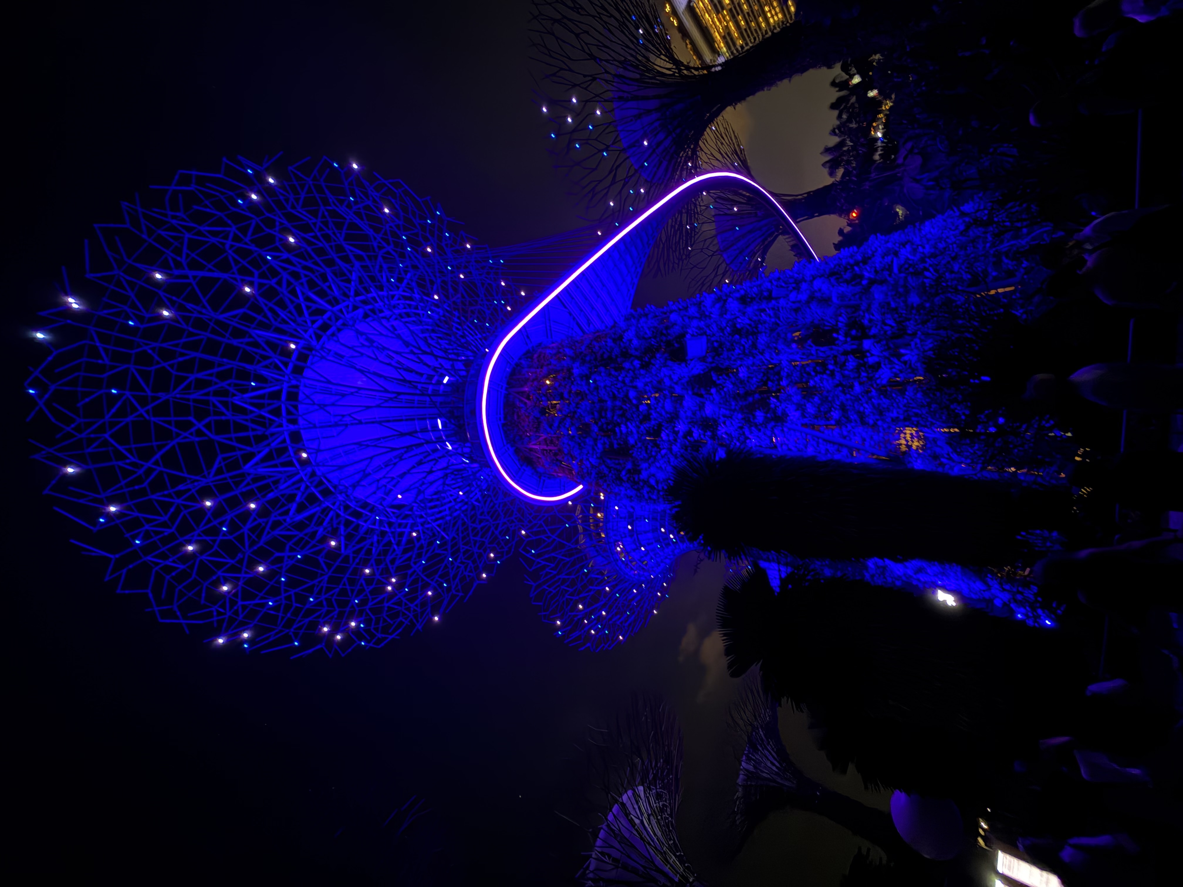 Сингапур-Мальдивы-Малайзия - завораживающее трио! (6/31)