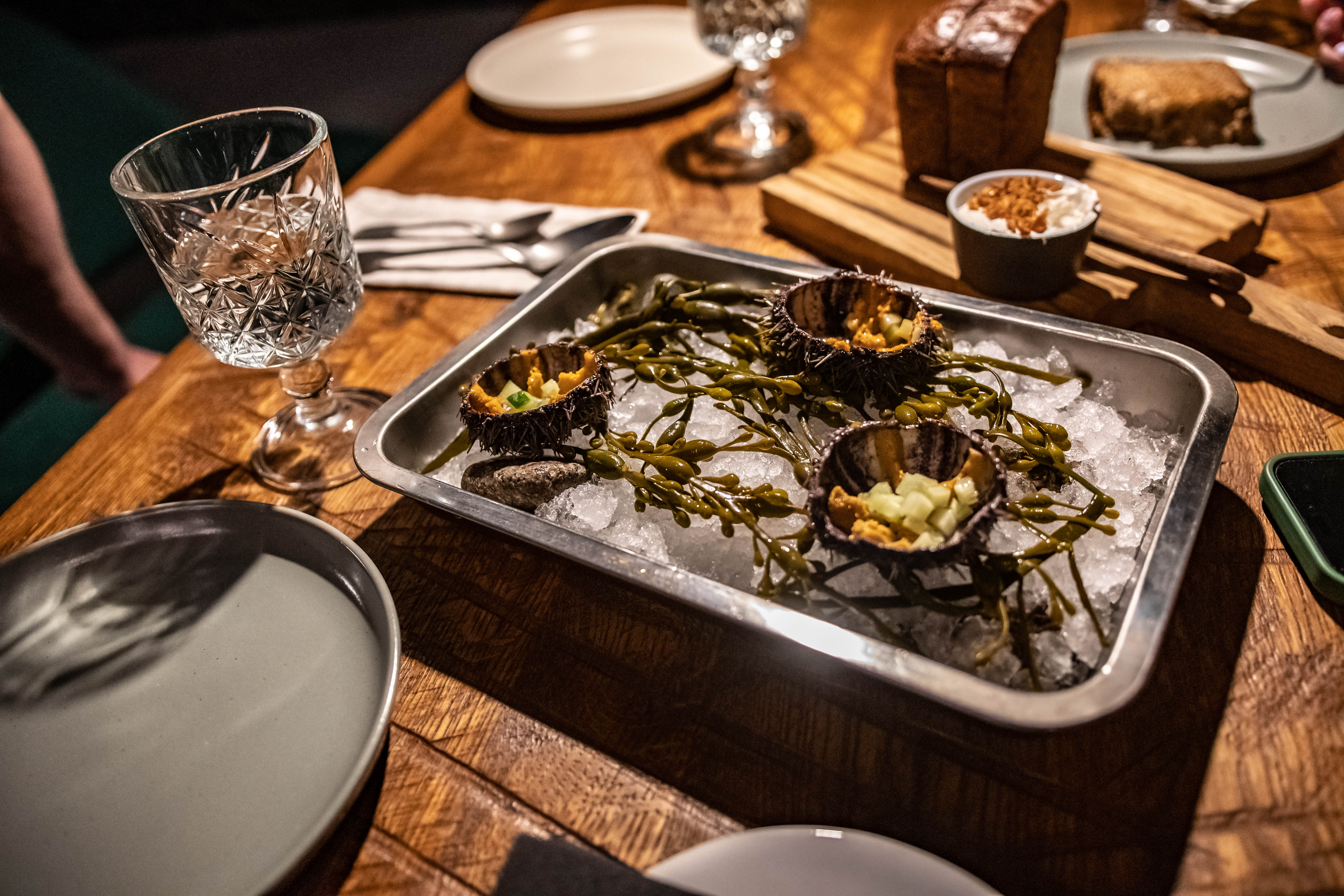 Заполярные каникулы (10/23)