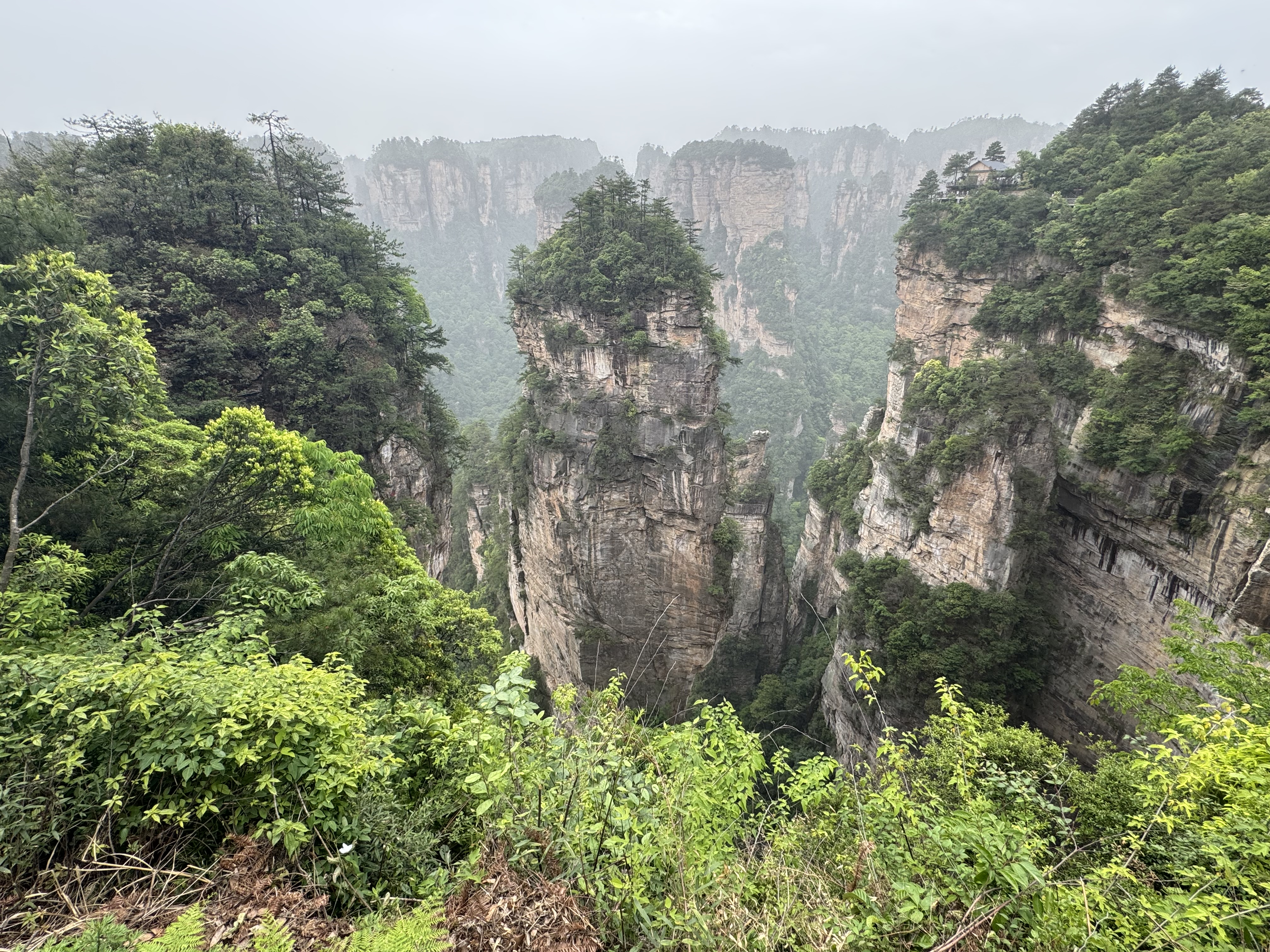 Выходные в Горах Аватара (19/22)